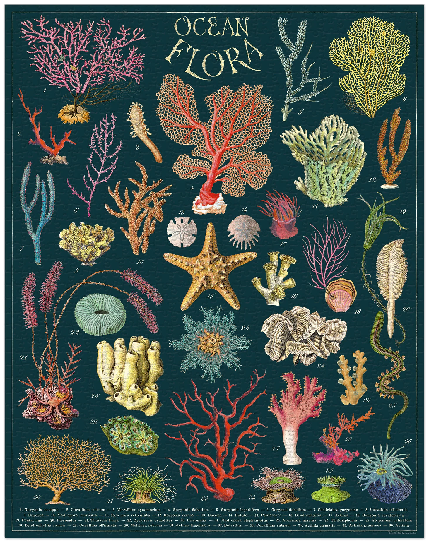 Ocean Flora - Vintage Puzzle von Cavallini - 1.000 Teile Ocean Flora - Vintage Puzzle von Cavallini - 1.000 Teile