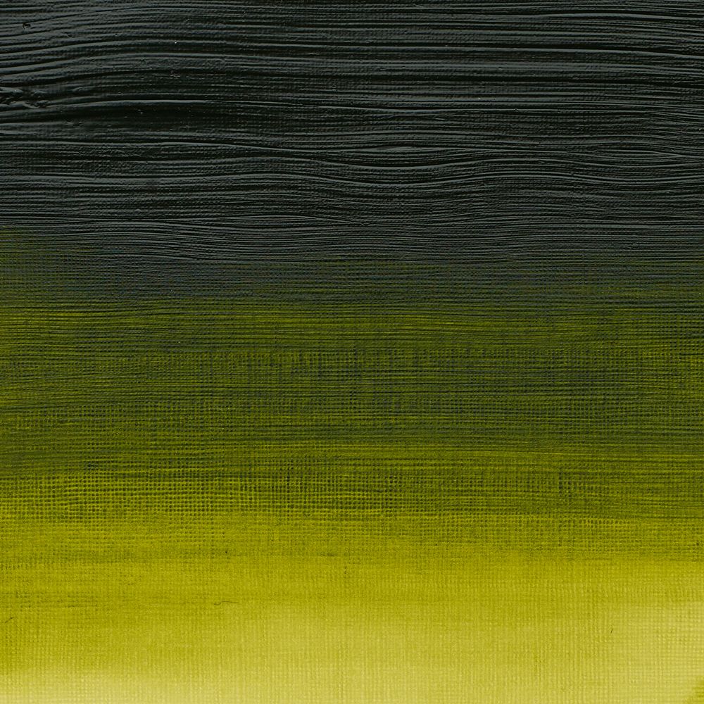 503 - Permanent Sap Green - 60ml Professional Acrylic von Winsor&Newton - S3