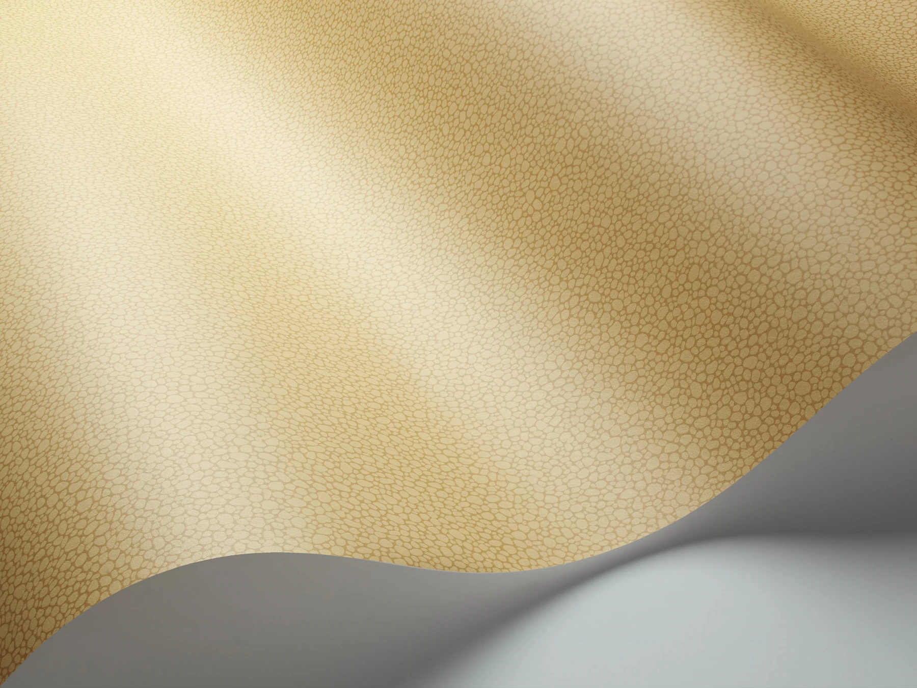 Pebble Tapete - 106/2025 - Cole&Son - Landscape Plains von Cole&Son aus der Kategorie Landscape Plains mit der Artikelnummer 106-2025