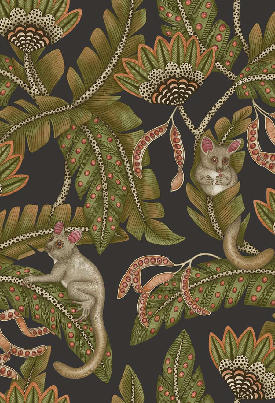 Bush Baby Tapete - 119/7031 - Cole&Son - Ardmore - Jabula-119-7031-Cole&Son-Ardmore Jabula Bush Baby Tapete - 119/7031 - Cole&Son - Ardmore - Jabula von Cole&Son aus der Kategorie Ardmore Jabula mit der Artikelnummer 119-7031
