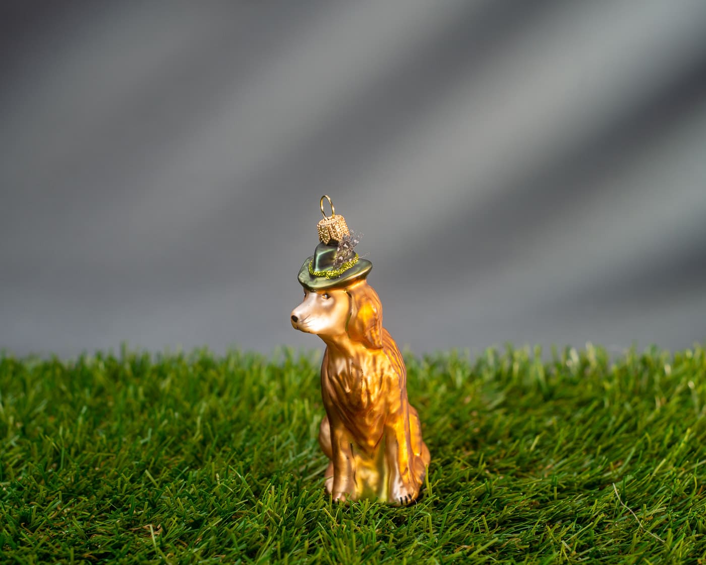 Irish Setter mit Hut und Feder - Christbaumschmuck aus Glas-2538.01-Hanco-Christbaumschmuck Irish Setter mit Hut und Feder - Christbaumschmuck aus Glas von Hanco aus der Kategorie Christbaumschmuck mit der Artikelnummer 2538.01