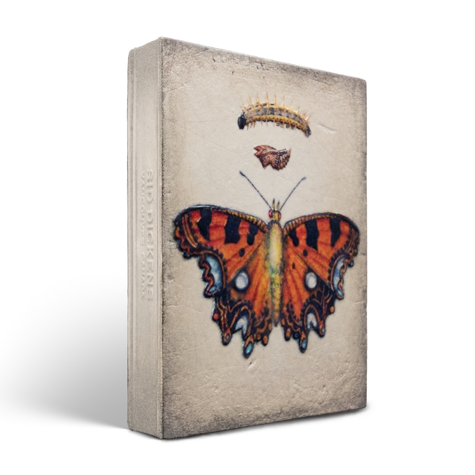 T546 - Chrysalis - Memory Block Sid Dickens-T546-Sid Dickens-Memory Blocks T546 - Chrysalis - Memory Block Sid Dickens von Sid Dickens aus der Kategorie Memory Blocks mit der Artikelnummer T546