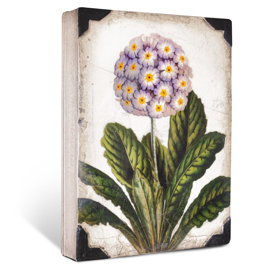 T460 - First Bloom *retired*- Memory Block Sid Dickens-T460-Sid Dickens-Memory Blocks T460 - First Bloom *retired*- Memory Block Sid Dickens von Sid Dickens aus der Kategorie Memory Blocks mit der Artikelnummer T460