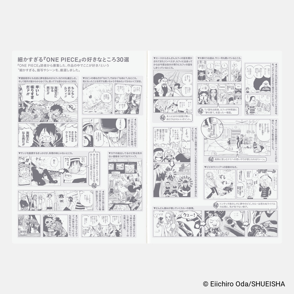 Kalenderbuch A6 Original 2027 – One Piece Edition, japanisch | Hobonichi