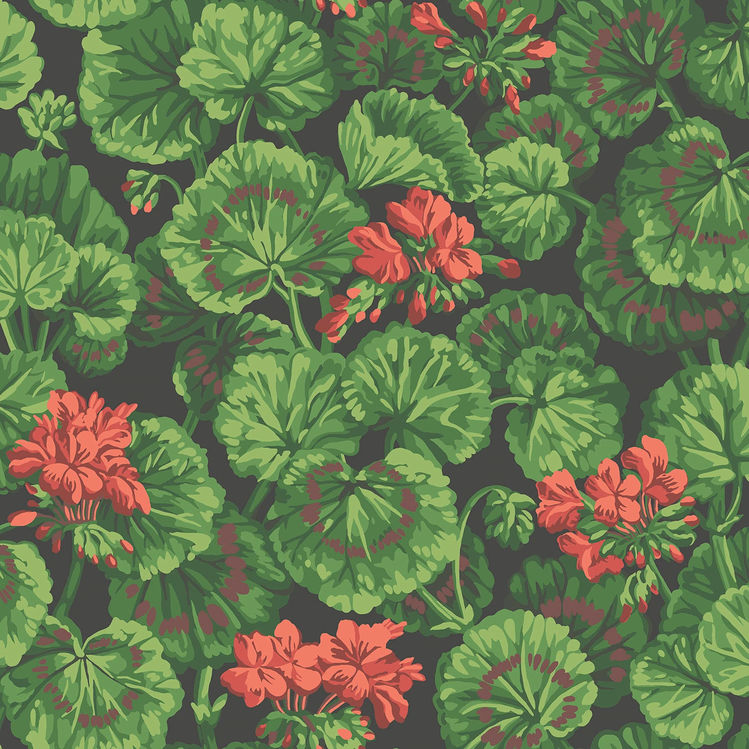 Geranium Tapete - 117/11033 - Cole&Son - Seville-117-11033-Cole&Son-Seville Geranium Tapete - 117/11033 - Cole&Son - Seville von Cole&Son aus der Kategorie Seville mit der Artikelnummer 117-11033