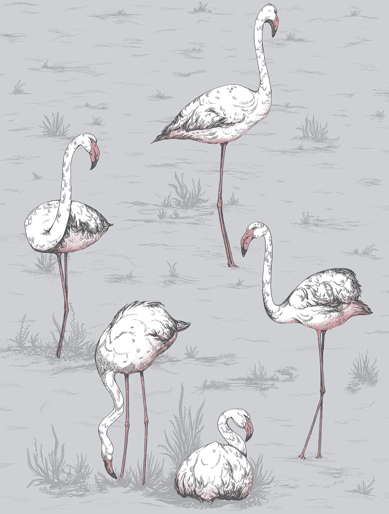 Flamingos Tapete - 112/11040 - Cole&Son - Icons