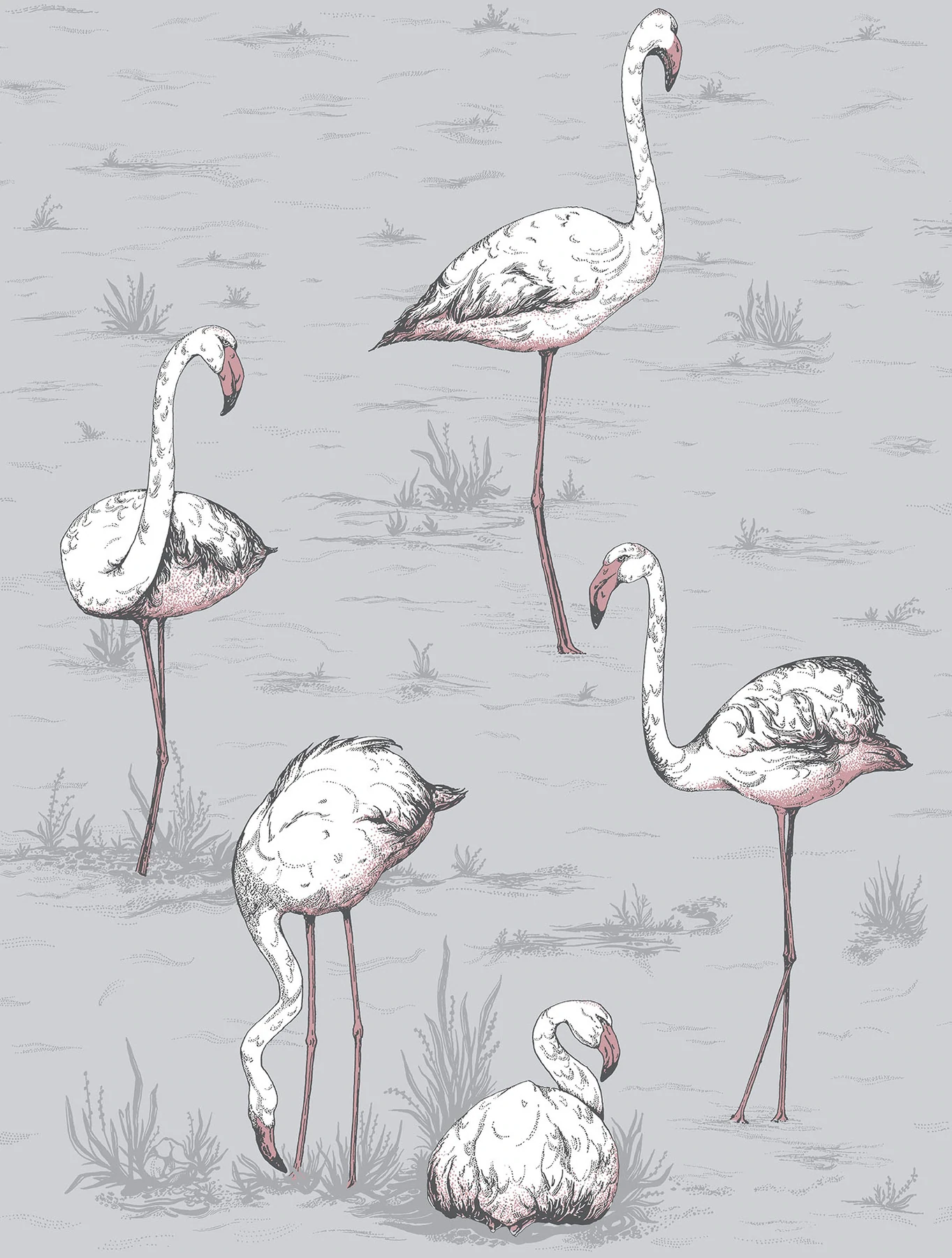 Flamingos Tapete - 112/11040 - Cole&Son - Icons von Cole&Son aus der Kategorie Icons mit der Artikelnummer 112-11040