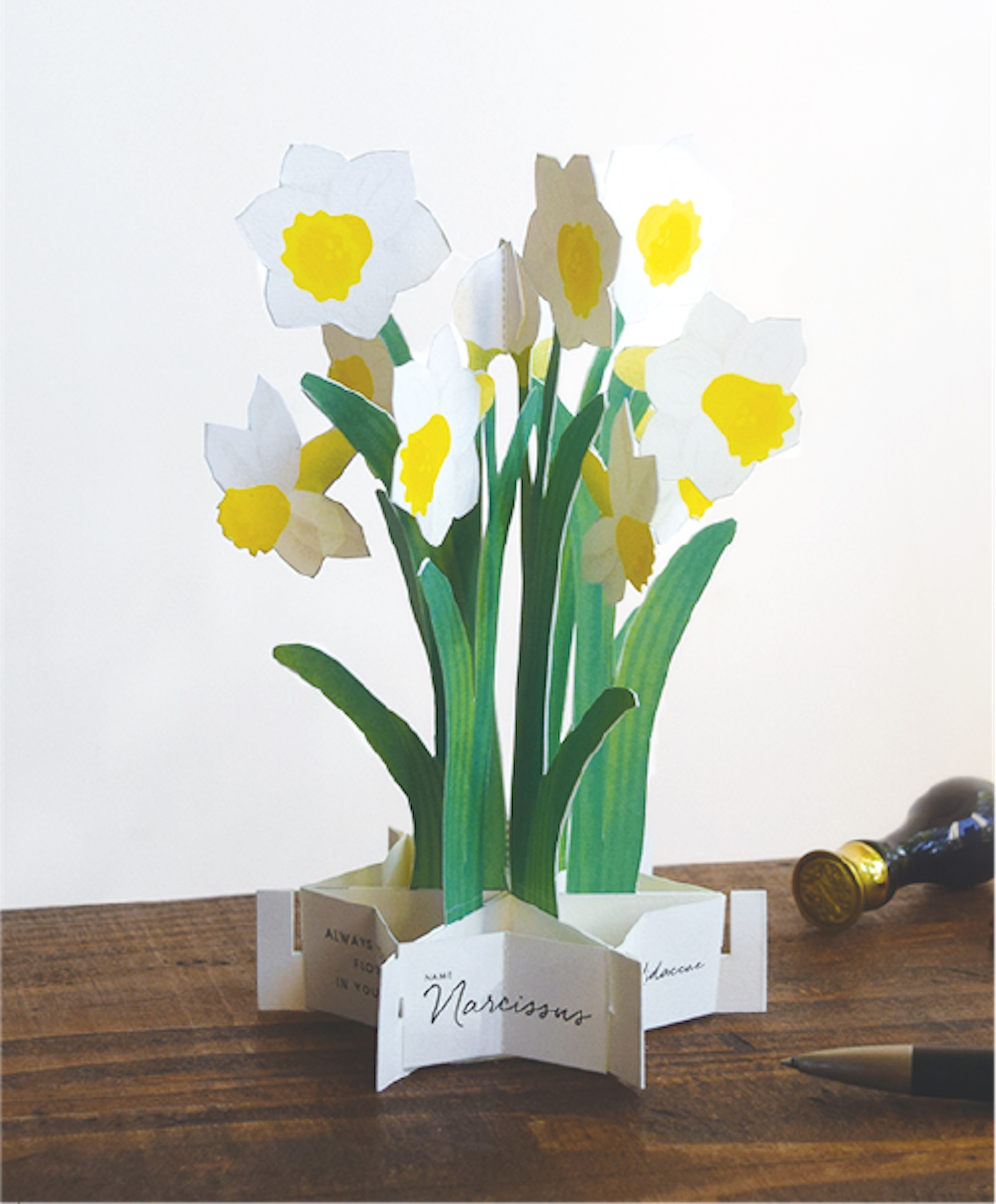 #13 Narzisse / Narcissus - 3D Blooming Card