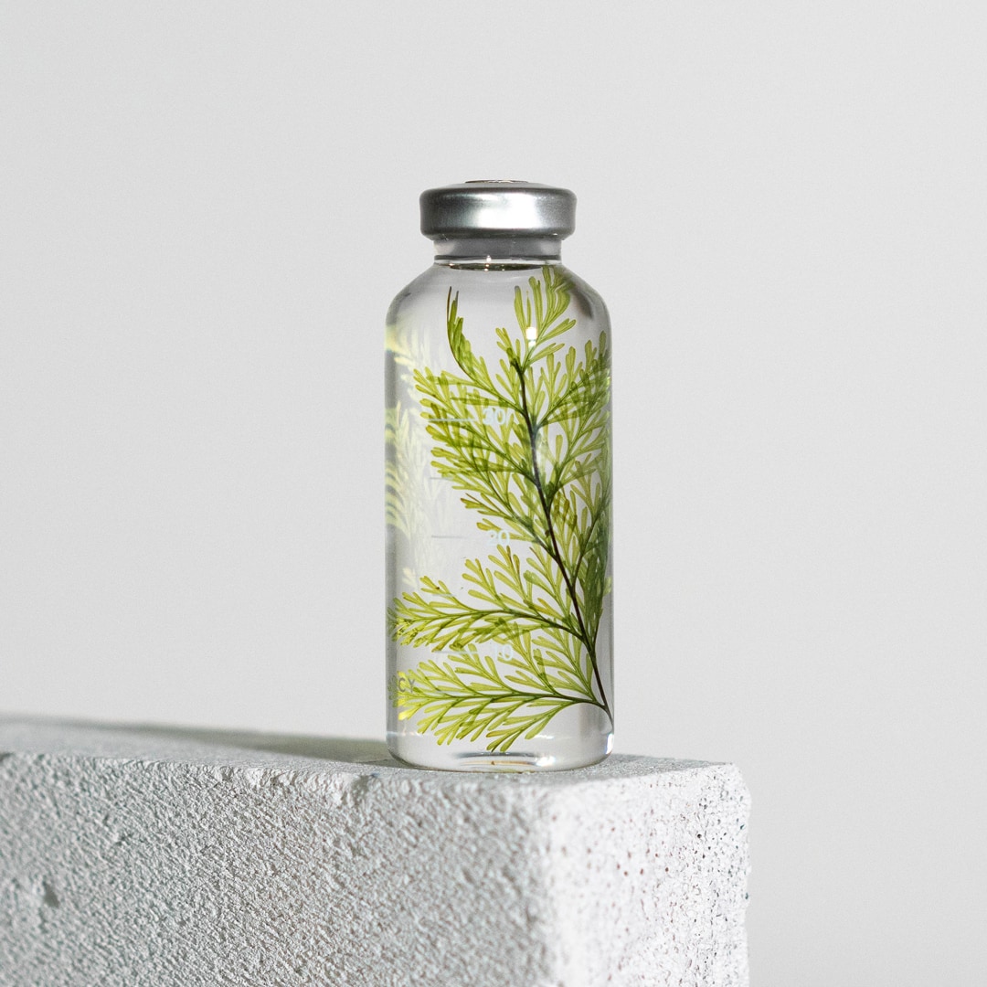 Tabaria Farnn - Herbarium Slow Pharmacy - 30 ml-SPS_021-Slow Pharmacy-Slow Pharmacy Tabaria Farnn - Herbarium Slow Pharmacy - 30 ml von Slow Pharmacy aus der Kategorie Slow Pharmacy mit der Artikelnummer SPS_021