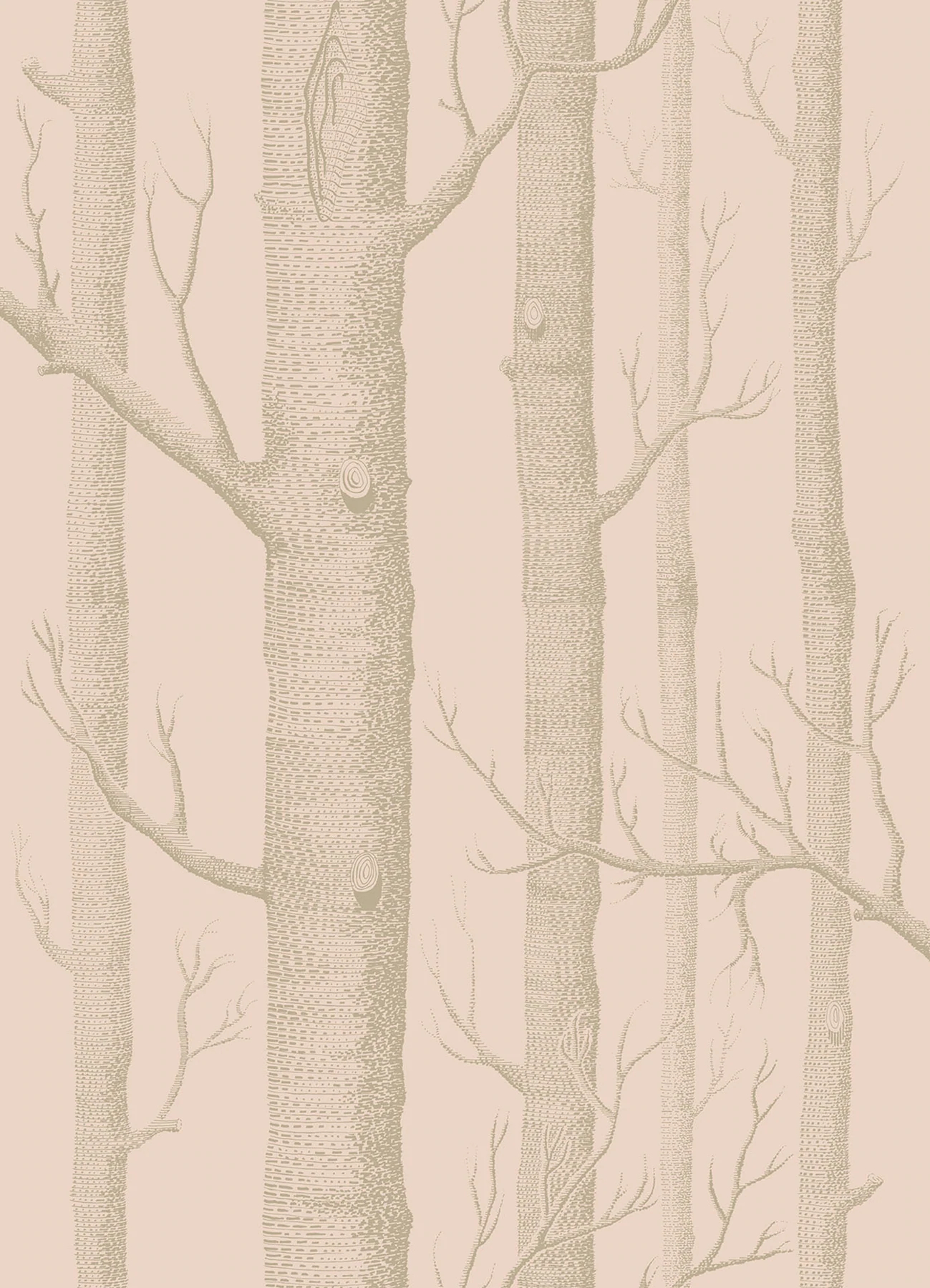 Woods Tapete - 103/5024 - Cole&Son - Whimsical von Cole&Son aus der Kategorie Whimsical mit der Artikelnummer 103-5024