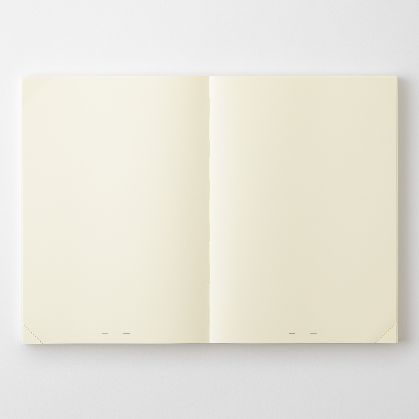 MD Notebook Journal - A5 - Codex 1 Day 1 Page - blanko / blank - Midori Notizbuch