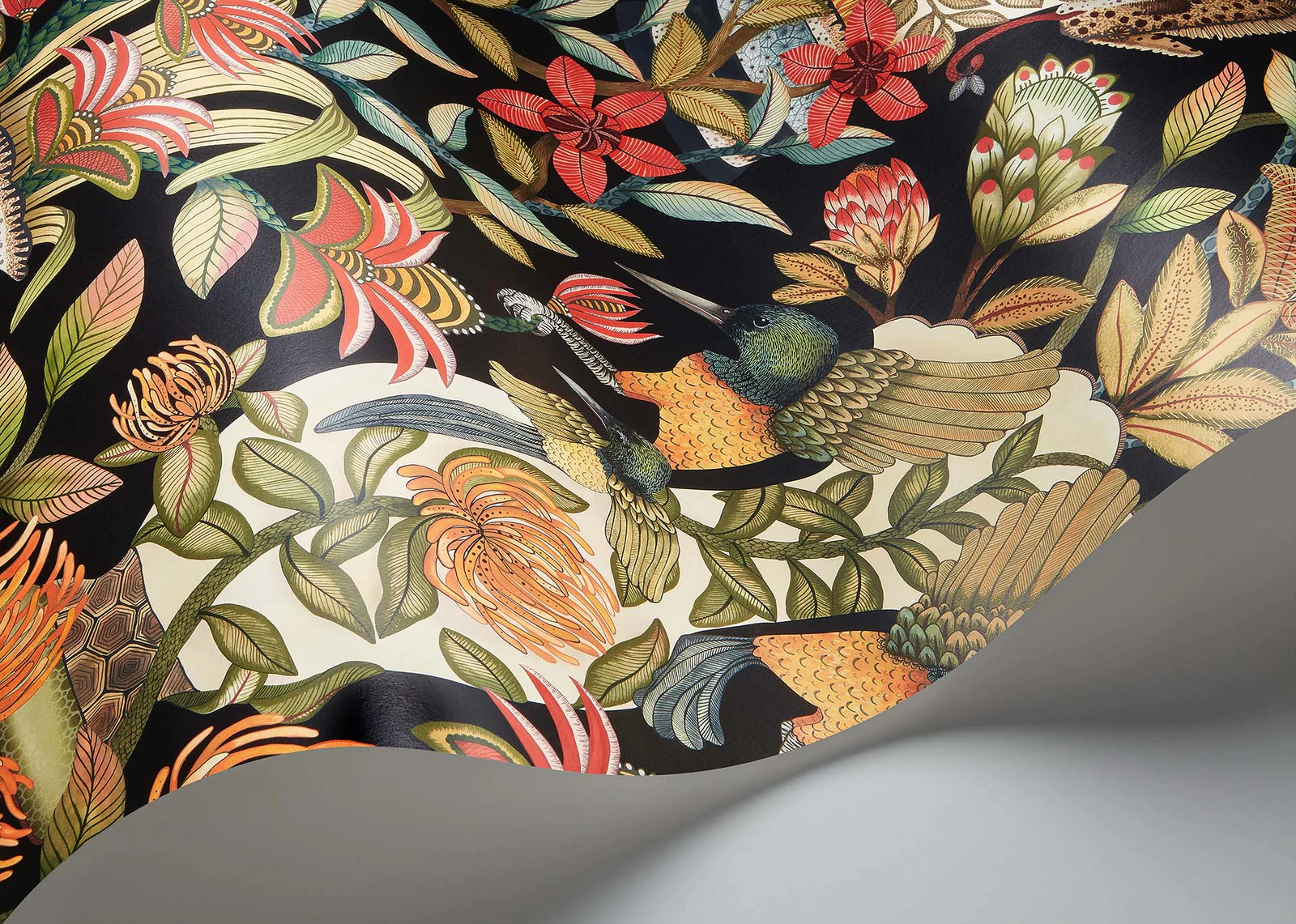 Protea Garden Tapete - 119/10044 - Cole&Son - Ardmore - Jabula-119-10044-Cole&Son-Ardmore Jabula Protea Garden Tapete - 119/10044 - Cole&Son - Ardmore - Jabula von Cole&Son aus der Kategorie Ardmore Jabula mit der Artikelnummer 119-10044