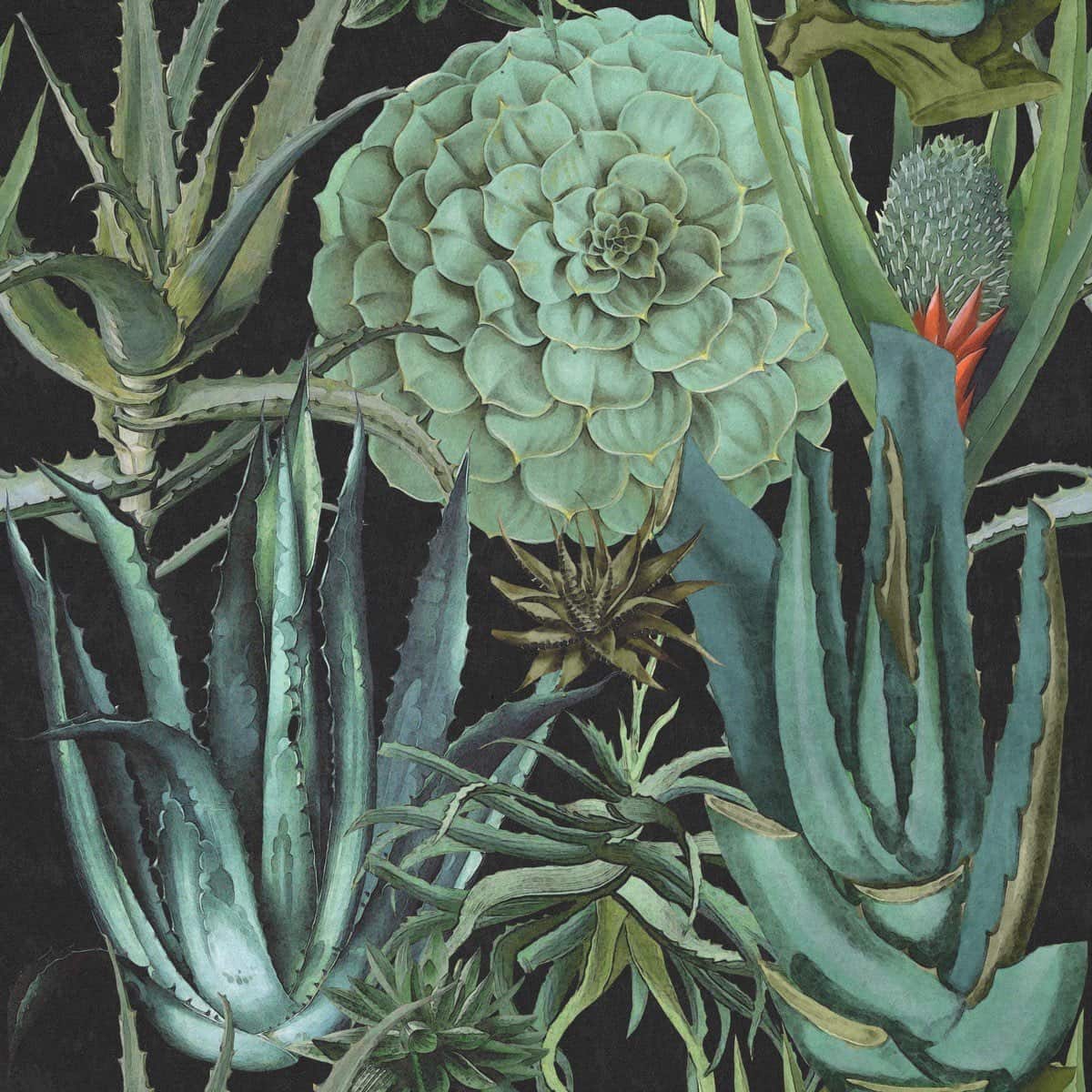 Tapete SUCCULENTUS ANTHRACITE-WP20167-MINDTHEGAP-MIND THE GAP Tapete SUCCULENTUS ANTHRACITE von MINDTHEGAP aus der Kategorie MIND THE GAP mit der Artikelnummer WP20167
