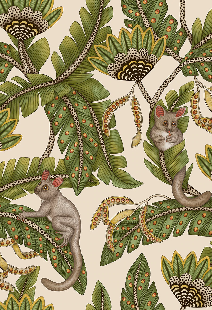 Bush Baby Tapete - 119/7032 - Cole&Son - Ardmore - Jabula-119-7032-Cole&Son-Ardmore Jabula Bush Baby Tapete - 119/7032 - Cole&Son - Ardmore - Jabula von Cole&Son aus der Kategorie Ardmore Jabula mit der Artikelnummer 119-7032