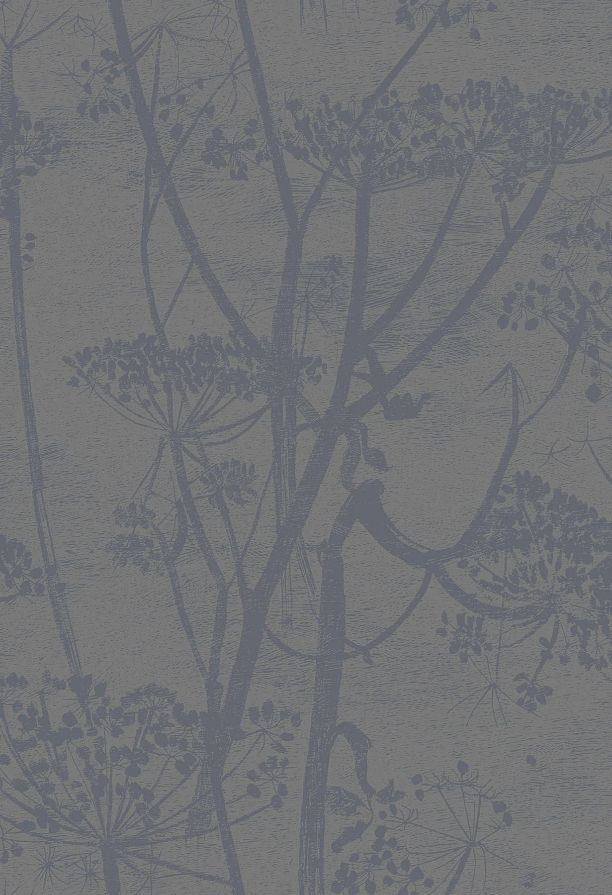 Cow Parsley Tapete - 95/9050 - Cole&Son - Contemporary Restyled