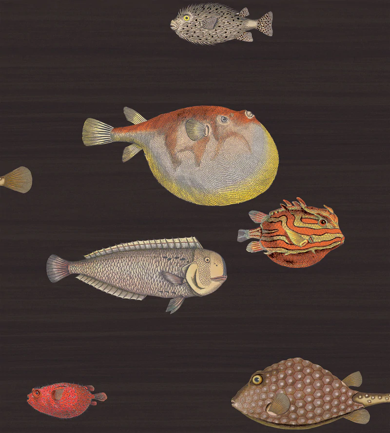 Acquario Tapete - 97/10048 - Cole&Son - Fornasetti Senza Tempo-97-10048-Cole&Son-Fornasetti Selection Acquario Tapete - 97/10048 - Cole&Son - Fornasetti Senza Tempo von Cole&Son aus der Kategorie Fornasetti Selection mit der Artikelnummer 97-10048