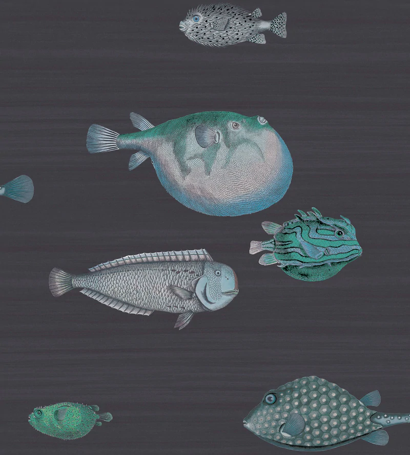 Acquario Tapete - 114/16032 - Cole&Son - Fornasetti Senza Tempo-114-16032-Cole&Son-Fornasetti Selection Acquario Tapete - 114/16032 - Cole&Son - Fornasetti Senza Tempo von Cole&Son aus der Kategorie Fornasetti Selection mit der Artikelnummer 114-16032