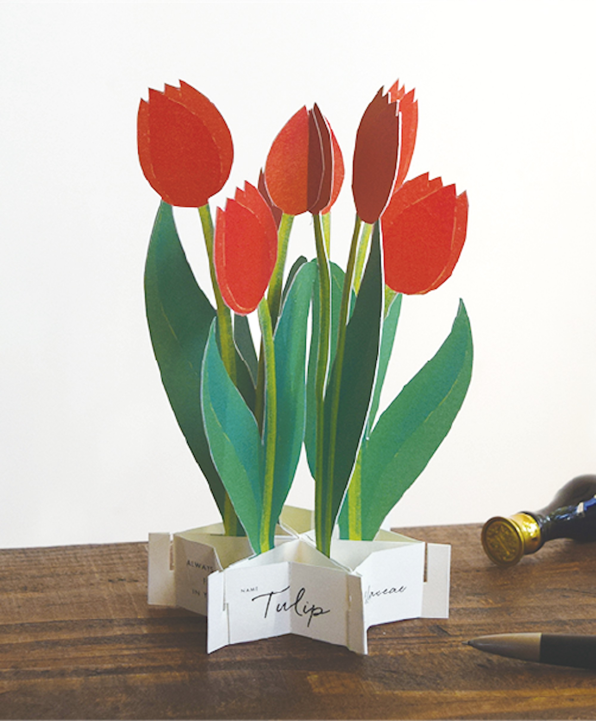 #11 Tulpe / Tulip - 3D Blooming Card
