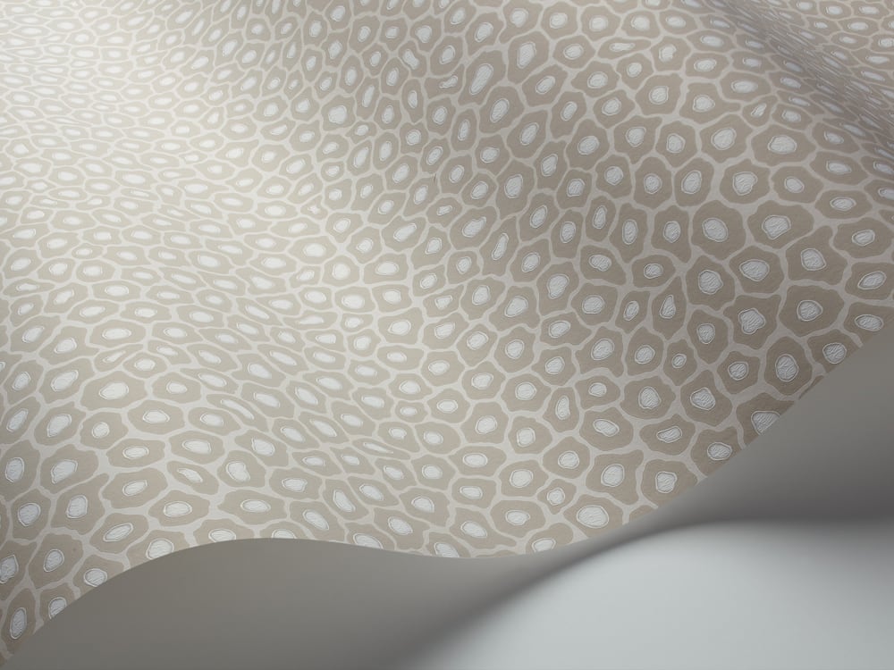 Senzo Spot Tapete - 109/6030 - Cole&Son - The Ardmore Collection von Cole&Son aus der Kategorie Ardmore mit der Artikelnummer 109-6030