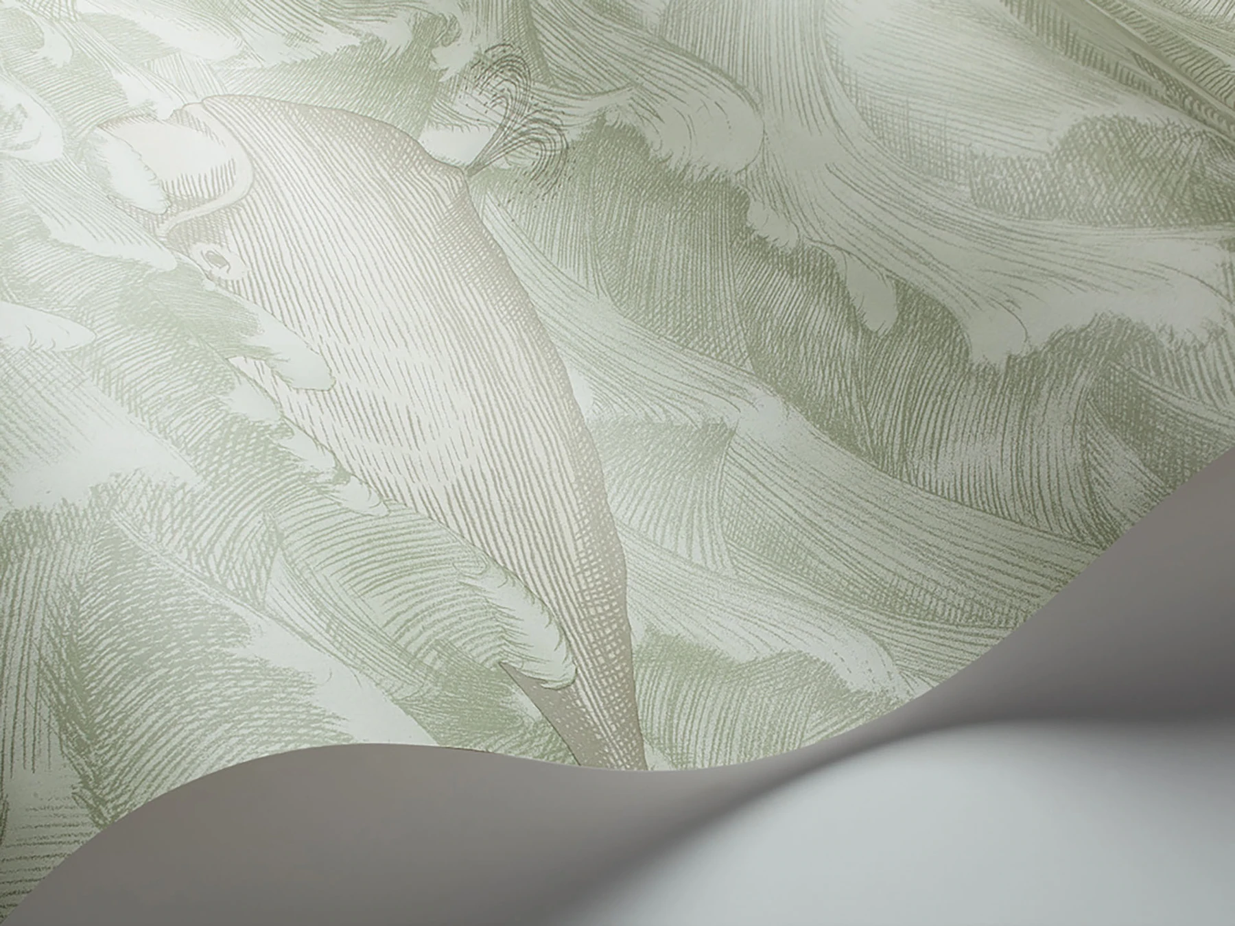 Melville Tapete - 103/1001 - Cole&Son - Whimsical-103-1001-Cole&Son-Whimsical Melville Tapete - 103/1001 - Cole&Son - Whimsical von Cole&Son aus der Kategorie Whimsical mit der Artikelnummer 103-1001