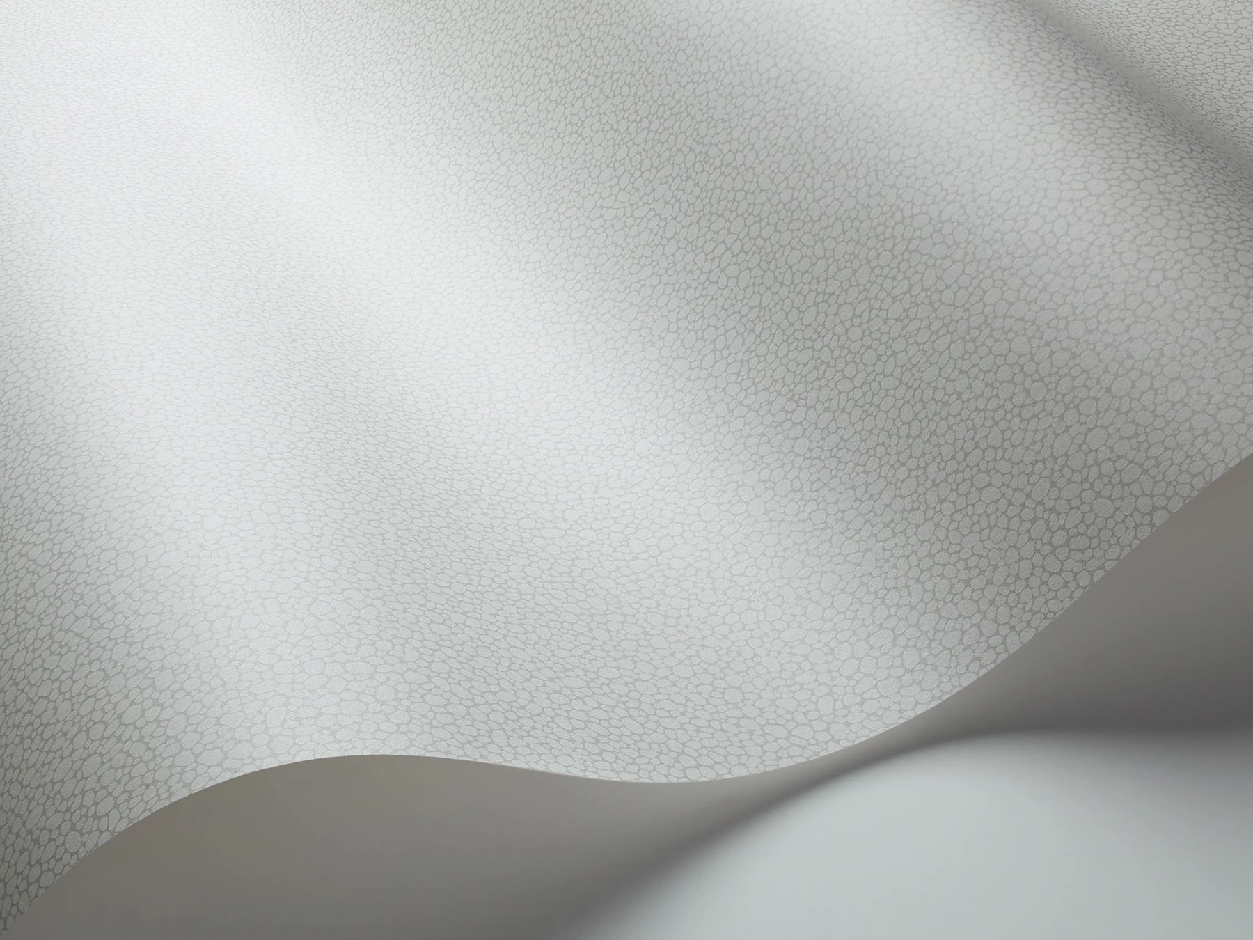 Pebble Tapete - 106/2017 - Cole&Son - Landscape Plains von Cole&Son aus der Kategorie Landscape Plains mit der Artikelnummer 106-2017