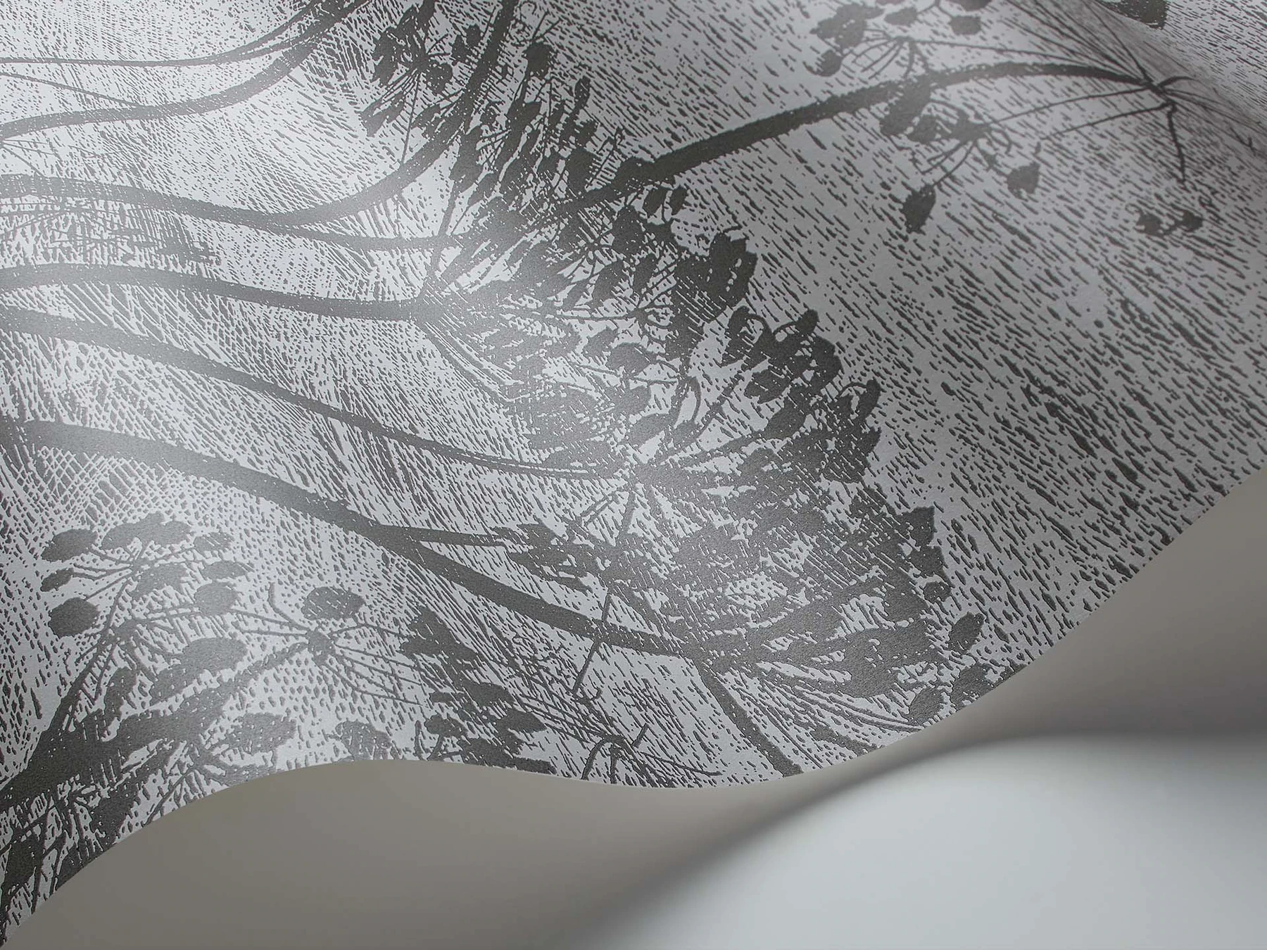 Cow Parsley Tapete - 112/8026 - Cole&Son - Icons-112-8026-Cole&Son-Icons Cow Parsley Tapete - 112/8026 - Cole&Son - Icons von Cole&Son aus der Kategorie Icons mit der Artikelnummer 112-8026