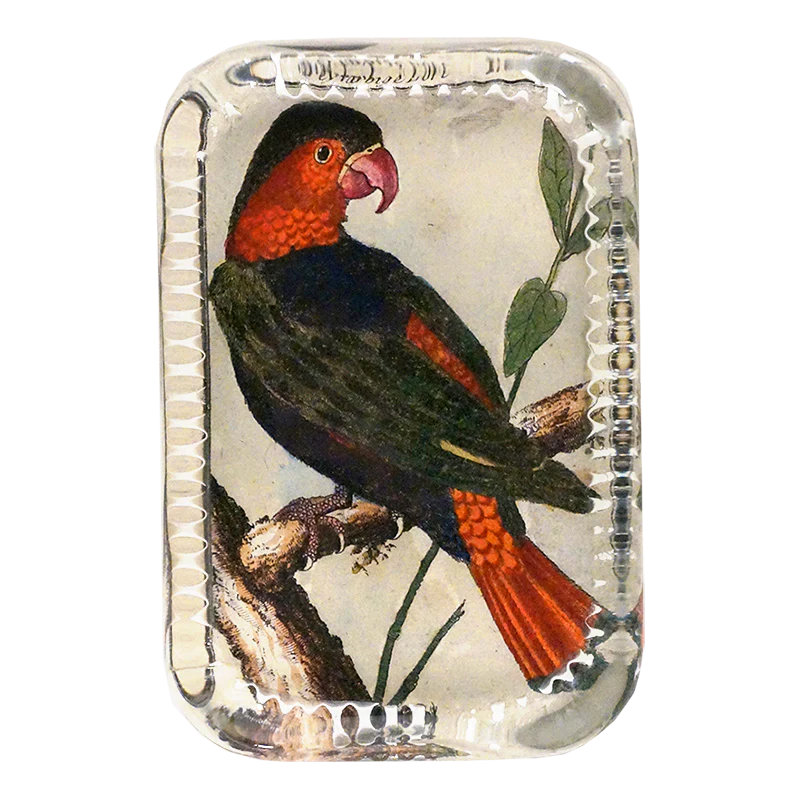 Parrot #11 - Briefbeschwerer - Dotted Edge Paperweight von John Derian