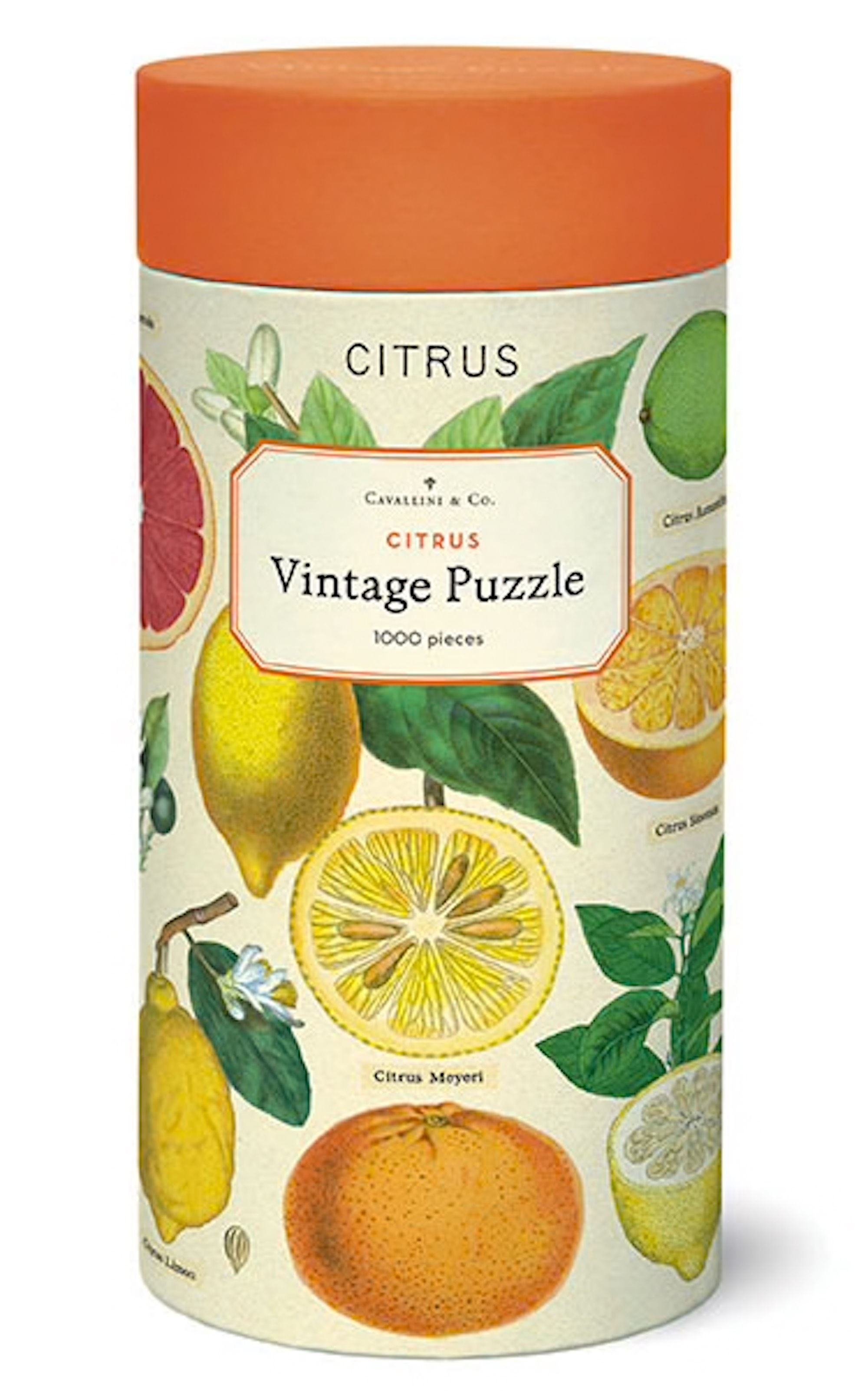Citrus - Vintage Puzzle von Cavallini - 1.000 Teile Citrus - Vintage Puzzle von Cavallini - 1.000 Teile