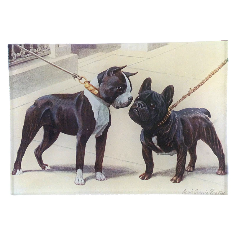 Boston Terrier & French Bulldog Mini-Tray - Glastablett von John Derian - New York