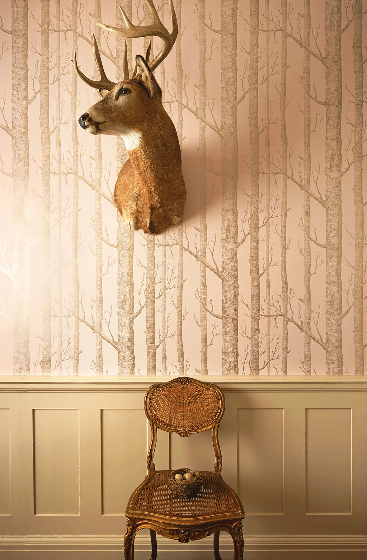 Woods Tapete - 103/5024 - Cole&Son - Whimsical von Cole&Son aus der Kategorie Whimsical mit der Artikelnummer 103-5024