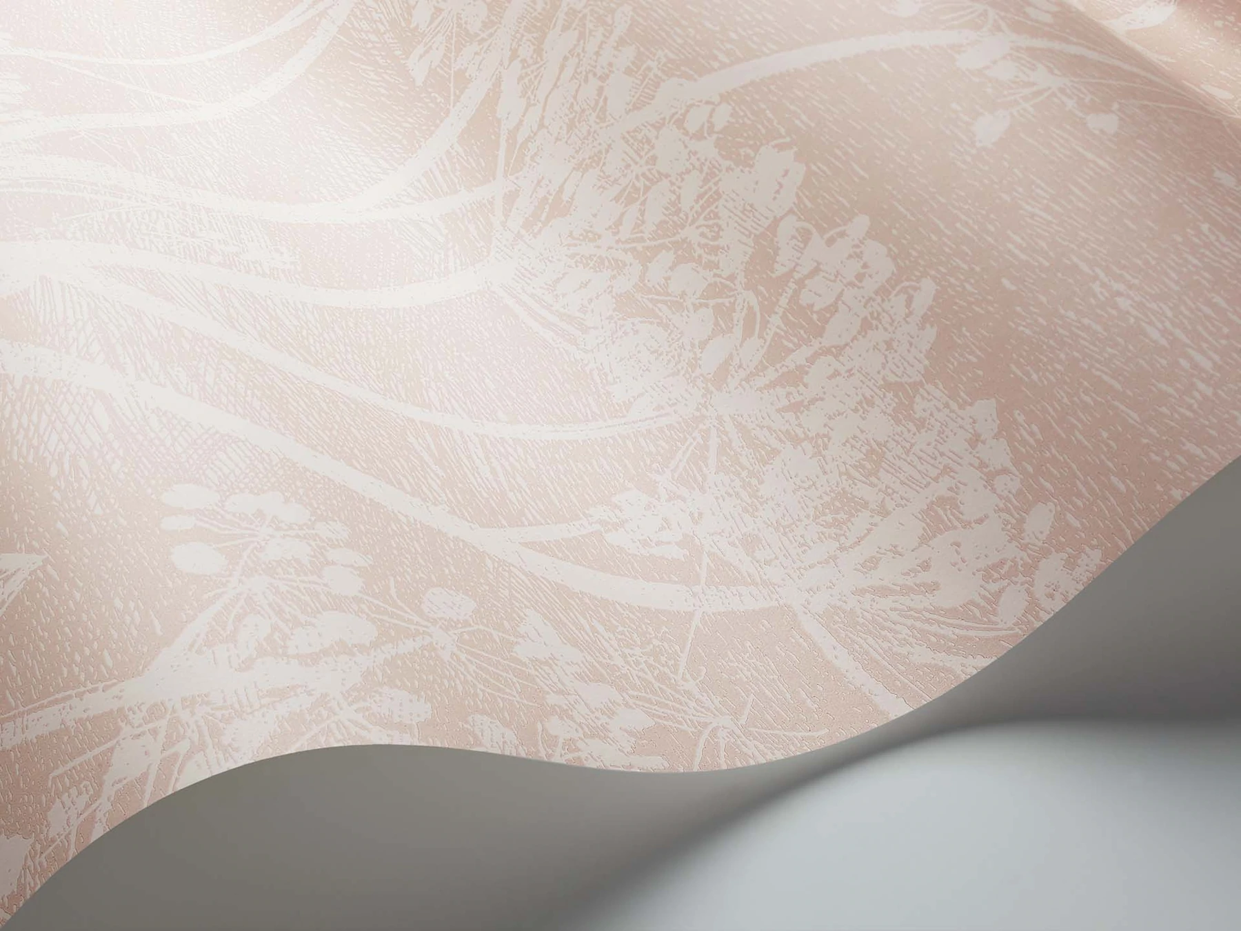 Cow Parsley Tapete - 112/8028 - Cole&Son - Icons-112-8028-Cole&Son-Icons Cow Parsley Tapete - 112/8028 - Cole&Son - Icons von Cole&Son aus der Kategorie Icons mit der Artikelnummer 112-8028