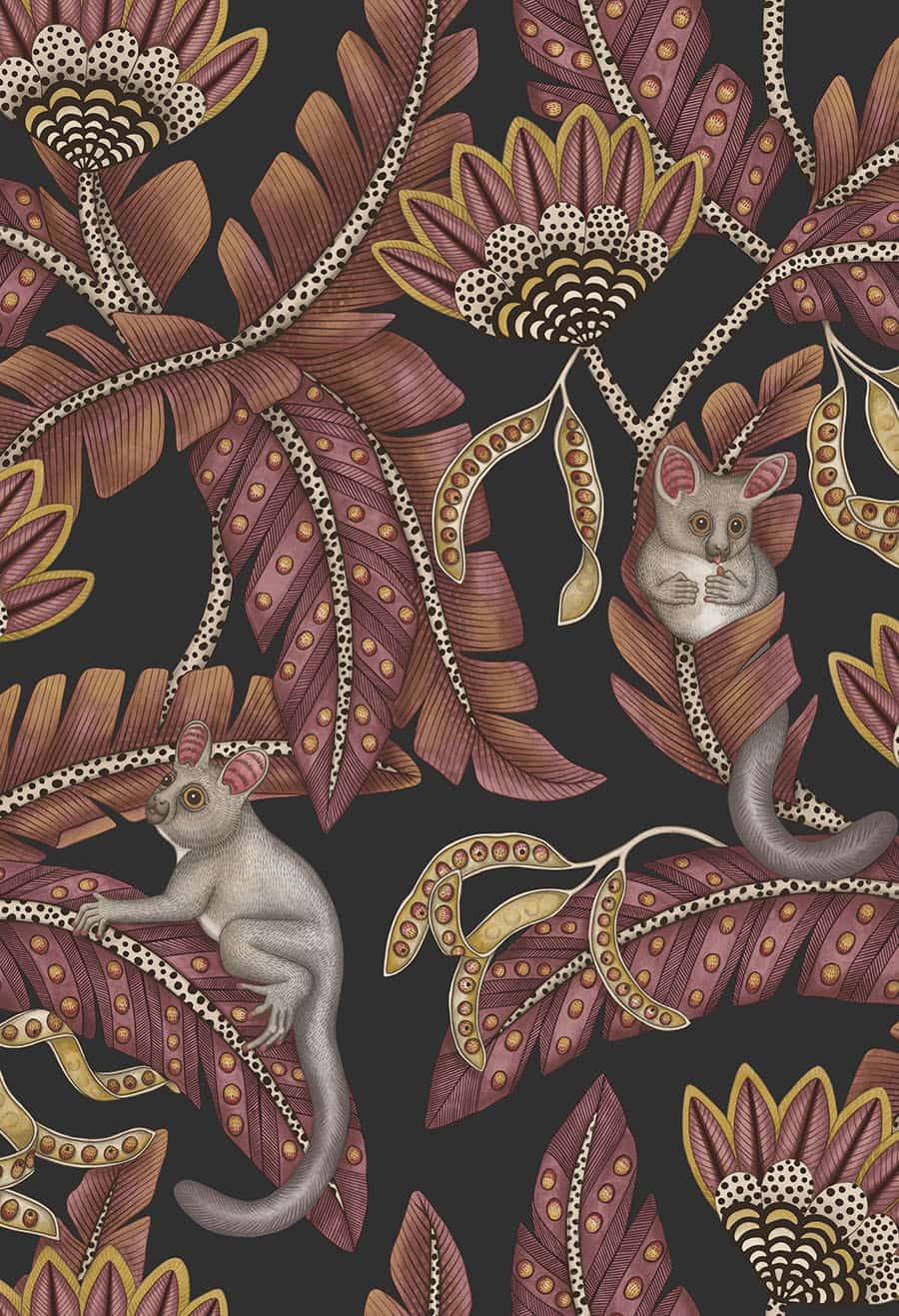 Bush Baby Tapete - 119/7033 - Cole&Son - Ardmore - Jabula-119-7033-Cole&Son-Ardmore Jabula Bush Baby Tapete - 119/7033 - Cole&Son - Ardmore - Jabula von Cole&Son aus der Kategorie Ardmore Jabula mit der Artikelnummer 119-7033