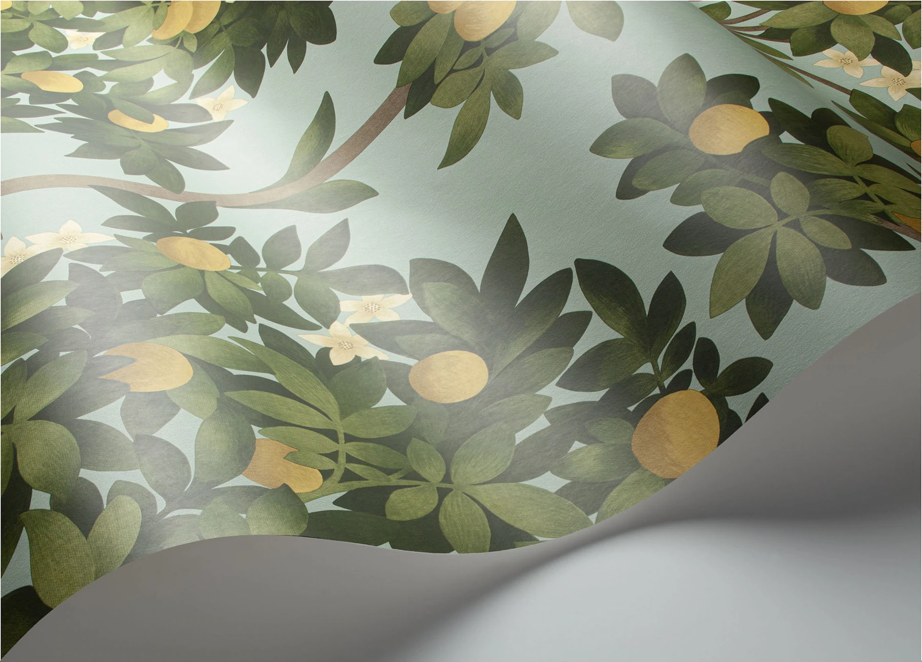 Orange Blossom Tapete - 117/1002 - Cole&Son - Seville von Cole&Son aus der Kategorie Seville mit der Artikelnummer 117-1002