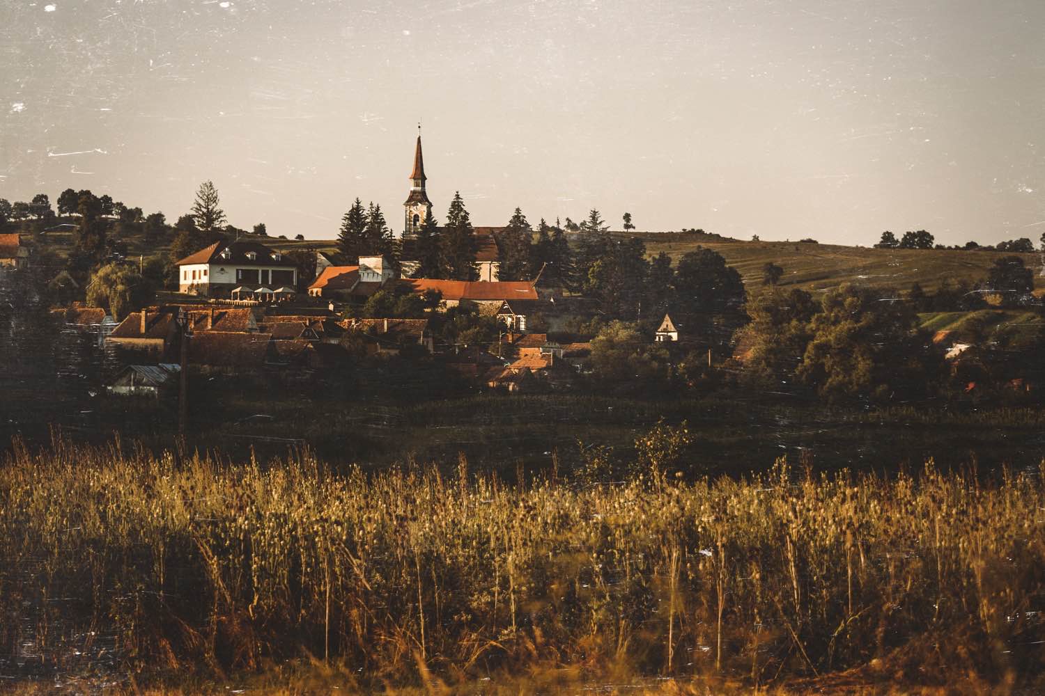 TRANSYLVANIAN ROOTS landscape_1500X1000-web
