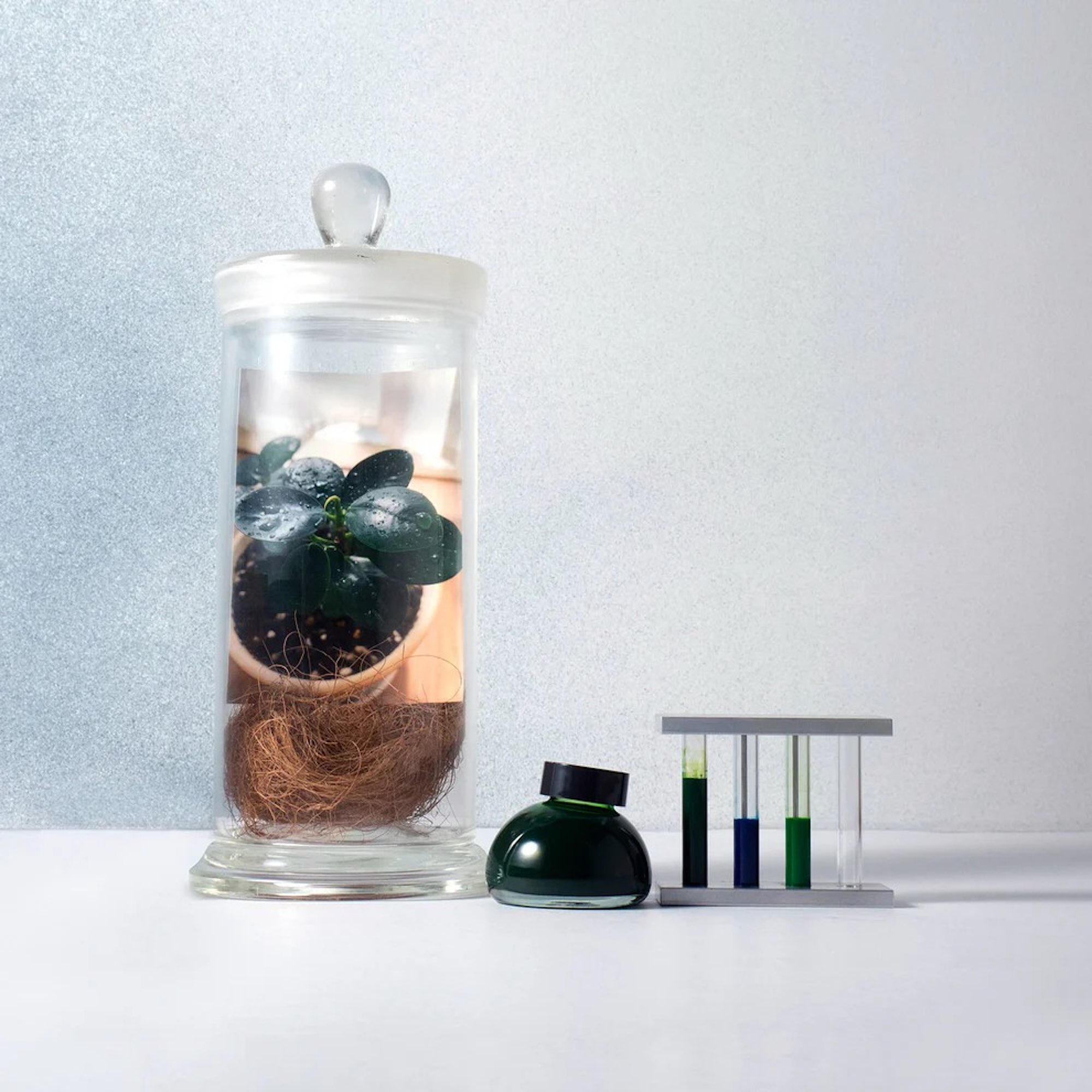 Limited Edition - Life - Pigmenttinte von Kakimori Limited Edition - Life - Pigmenttinte von Kakimori