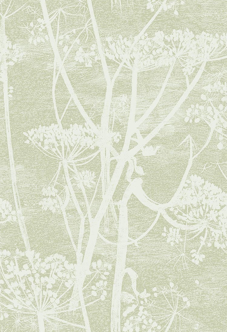 Cow Parsley Tapete - 112/8029 - Cole&Son - Icons