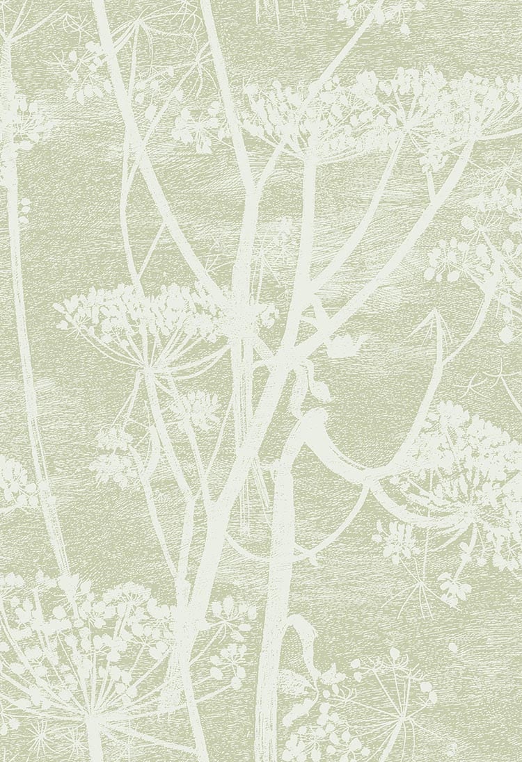 Cow Parsley Tapete - 112/8029 - Cole&Son - Icons von Cole&Son aus der Kategorie Icons mit der Artikelnummer 112-8029