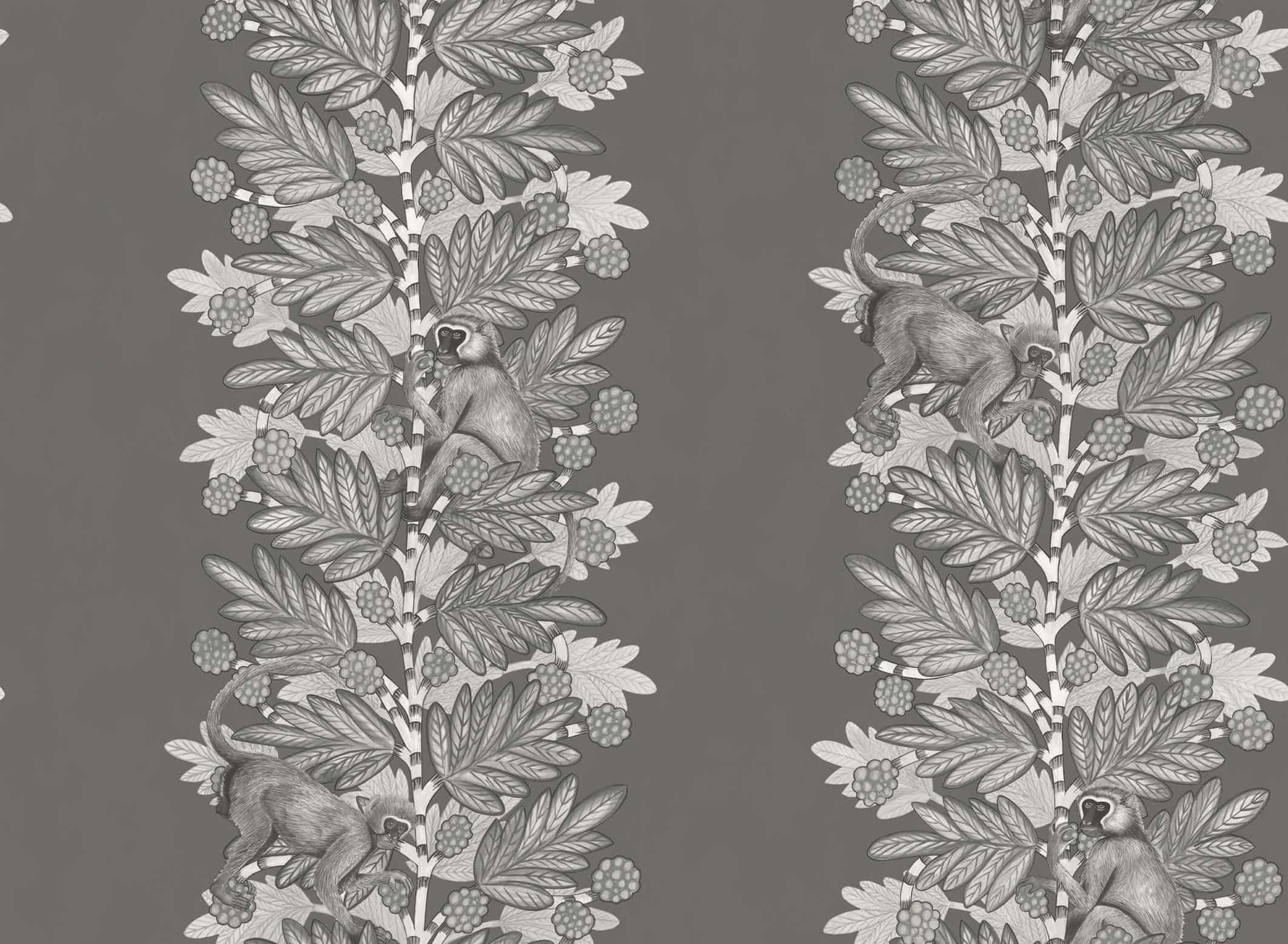 Acacia Tapete - 109/11055 - Cole&Son - The Ardmore Collection-109-11055-Cole&Son-Ardmore Acacia Tapete - 109/11055 - Cole&Son - The Ardmore Collection von Cole&Son aus der Kategorie Ardmore mit der Artikelnummer 109-11055