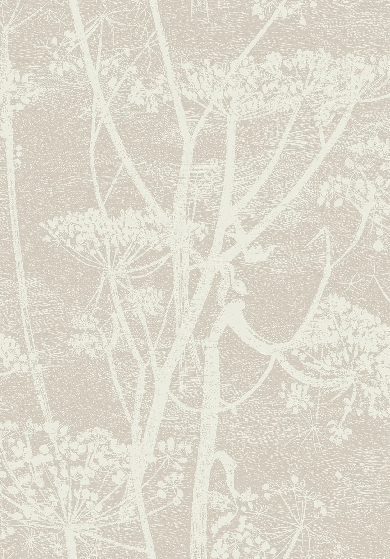 Cow Parsley Tapete - 95/9051 - Cole&Son - The Contemporary Collection