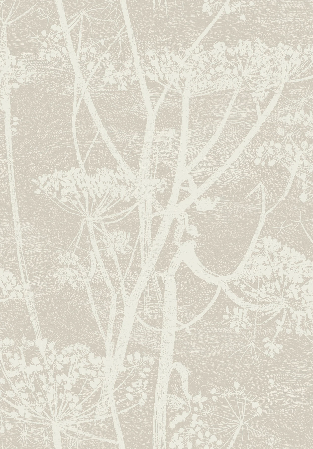 Cow Parsley Tapete - 95/9051 - Cole&Son - The Contemporary Collection von Cole&Son aus der Kategorie The Contemporary Collection mit der Artikelnummer 95-9051