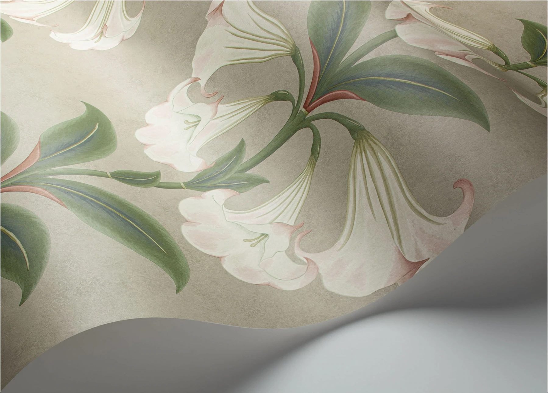 Angel's Trumpet Tapete - 117/3007 - Cole&Son - Seville-117-3007-Cole&Son-Seville Angel's Trumpet Tapete - 117/3007 - Cole&Son - Seville von Cole&Son aus der Kategorie Seville mit der Artikelnummer 117-3007