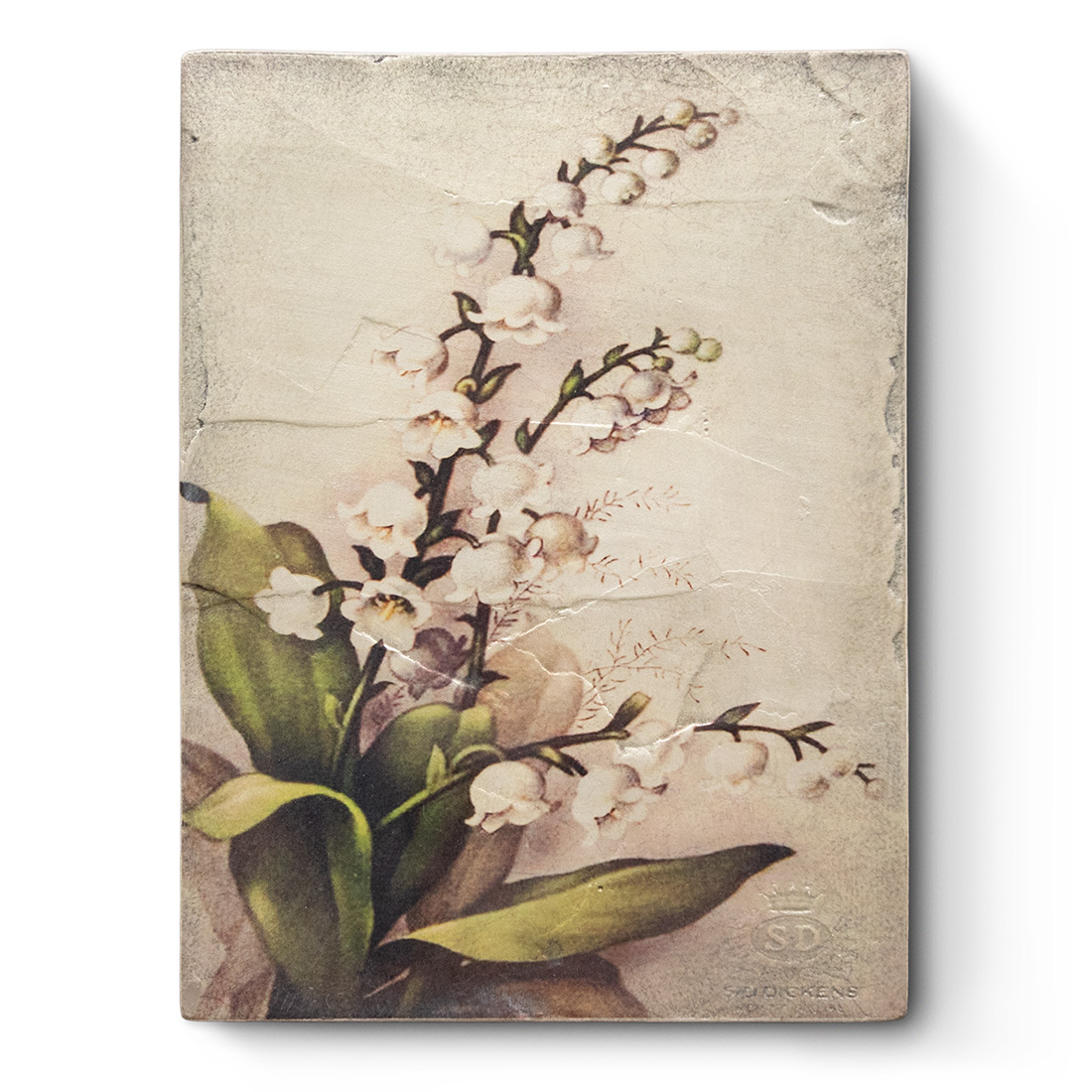 T628 - Lilly of the Valley - Memory Block Sid Dickens von Sid Dickens aus der Kategorie 2024 Spring Collection mit der Artikelnummer T628