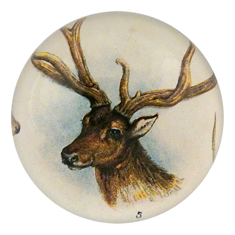 11 Tipped Dear - Briefbeschwerer - Dome Paperweight von John Derian