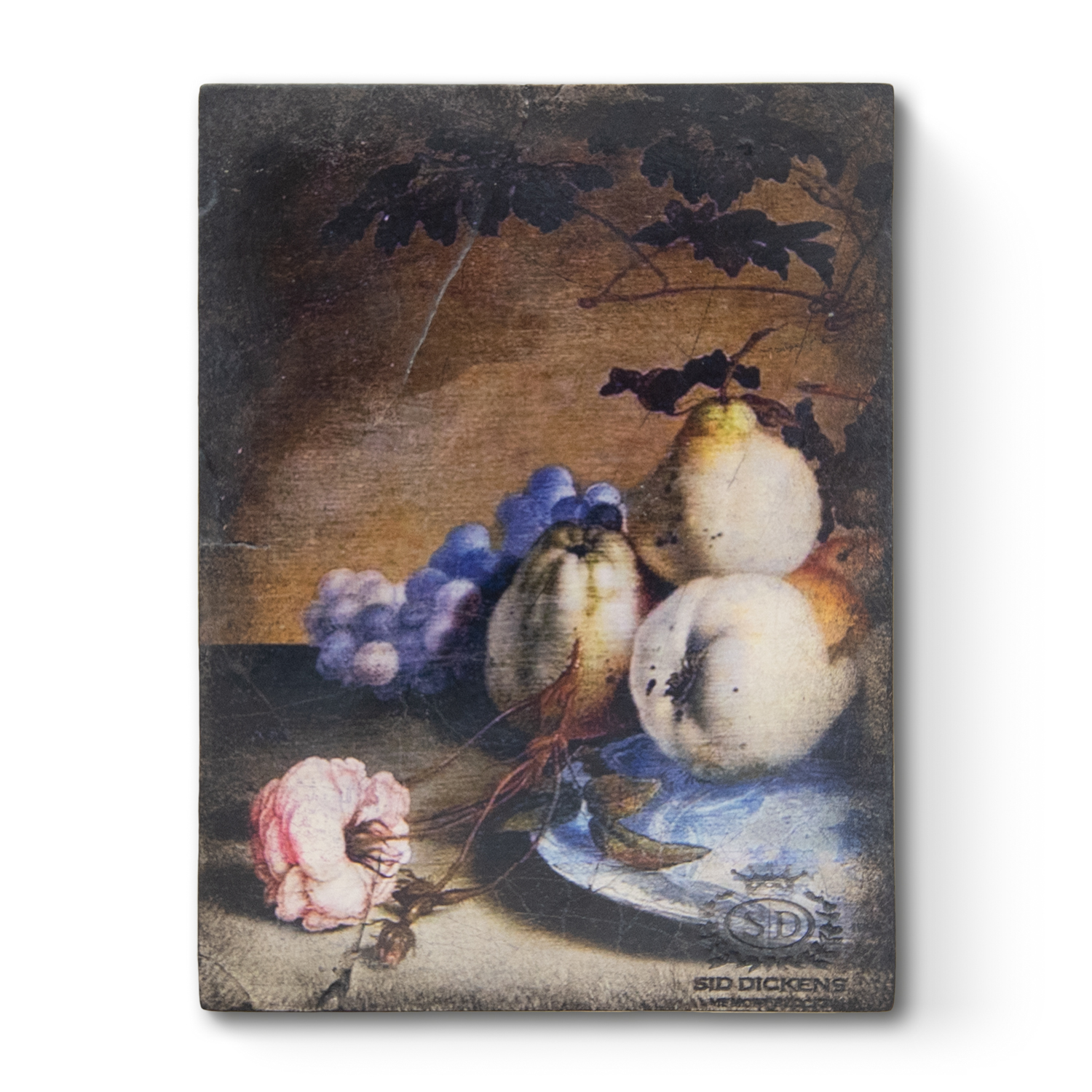 T565 - Pear Drops - Memory Block Sid Dickens-T565-Sid Dickens-2022 - FALL T565 - Pear Drops - Memory Block Sid Dickens von Sid Dickens aus der Kategorie 2022 - FALL mit der Artikelnummer T565