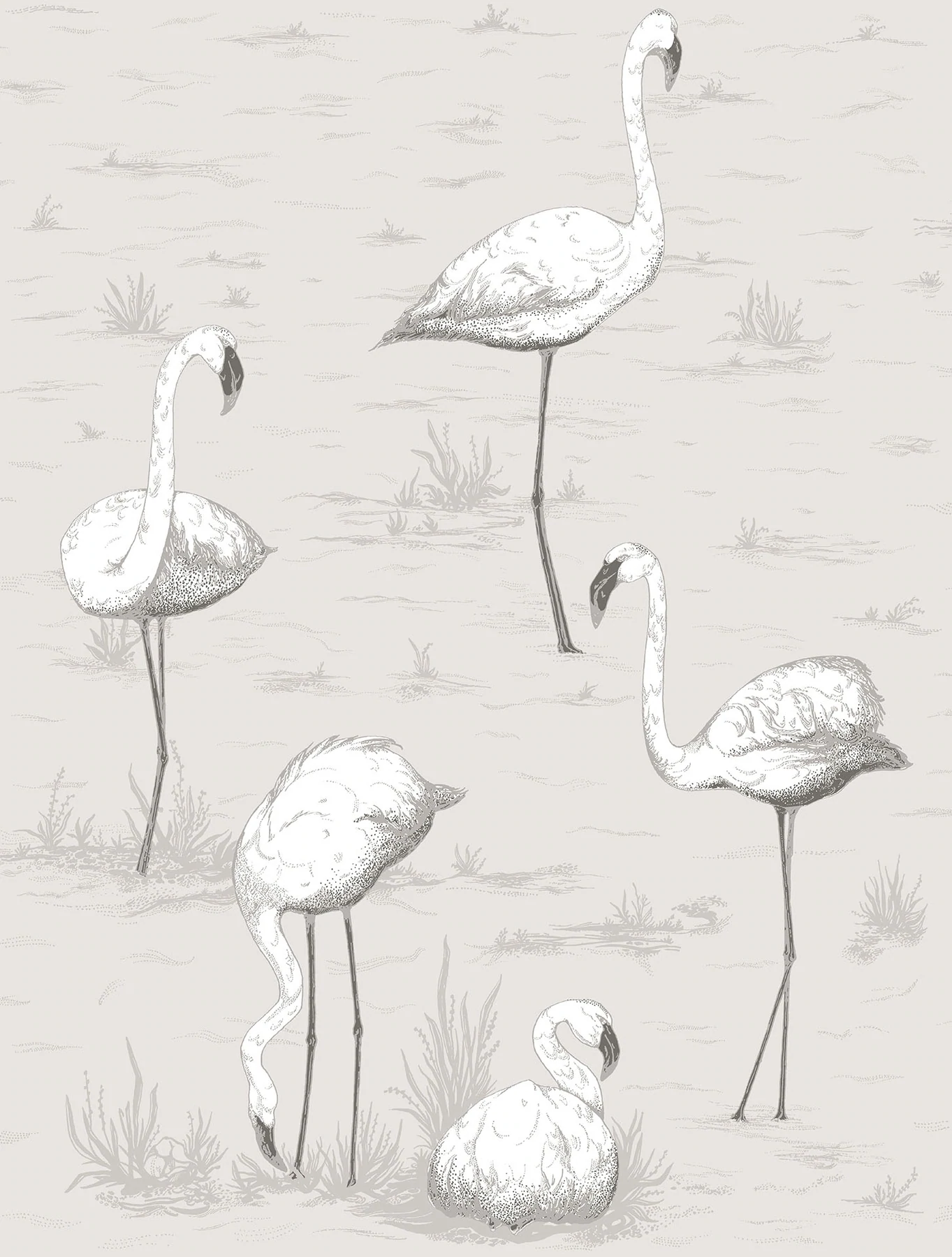 Flamingos Tapete - 95/8046 - Cole&Son - The Contemporary Collection