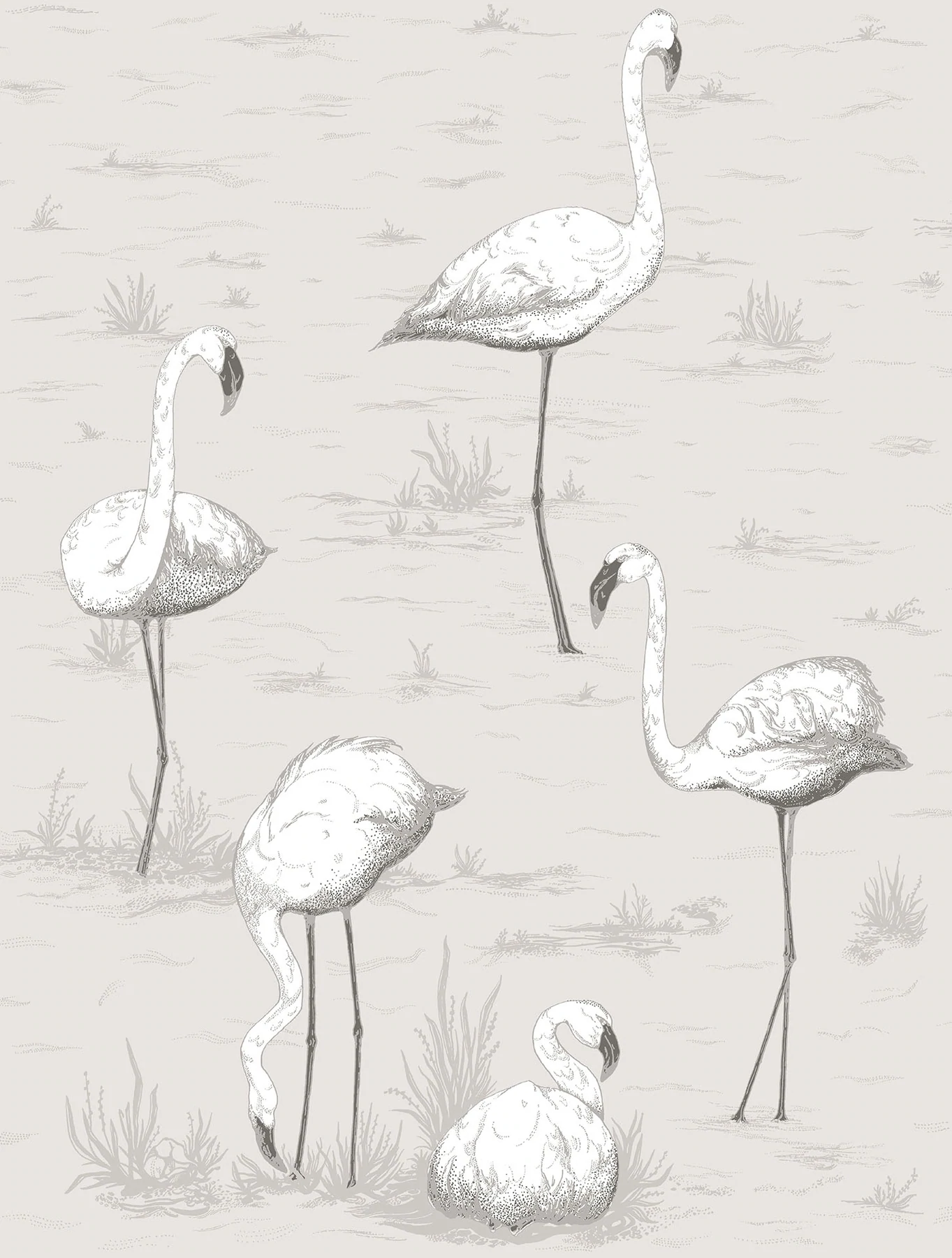 Flamingos Tapete - 95/8046 - Cole&Son - The Contemporary Collection von Cole&Son aus der Kategorie The Contemporary Collection mit der Artikelnummer 95-8046