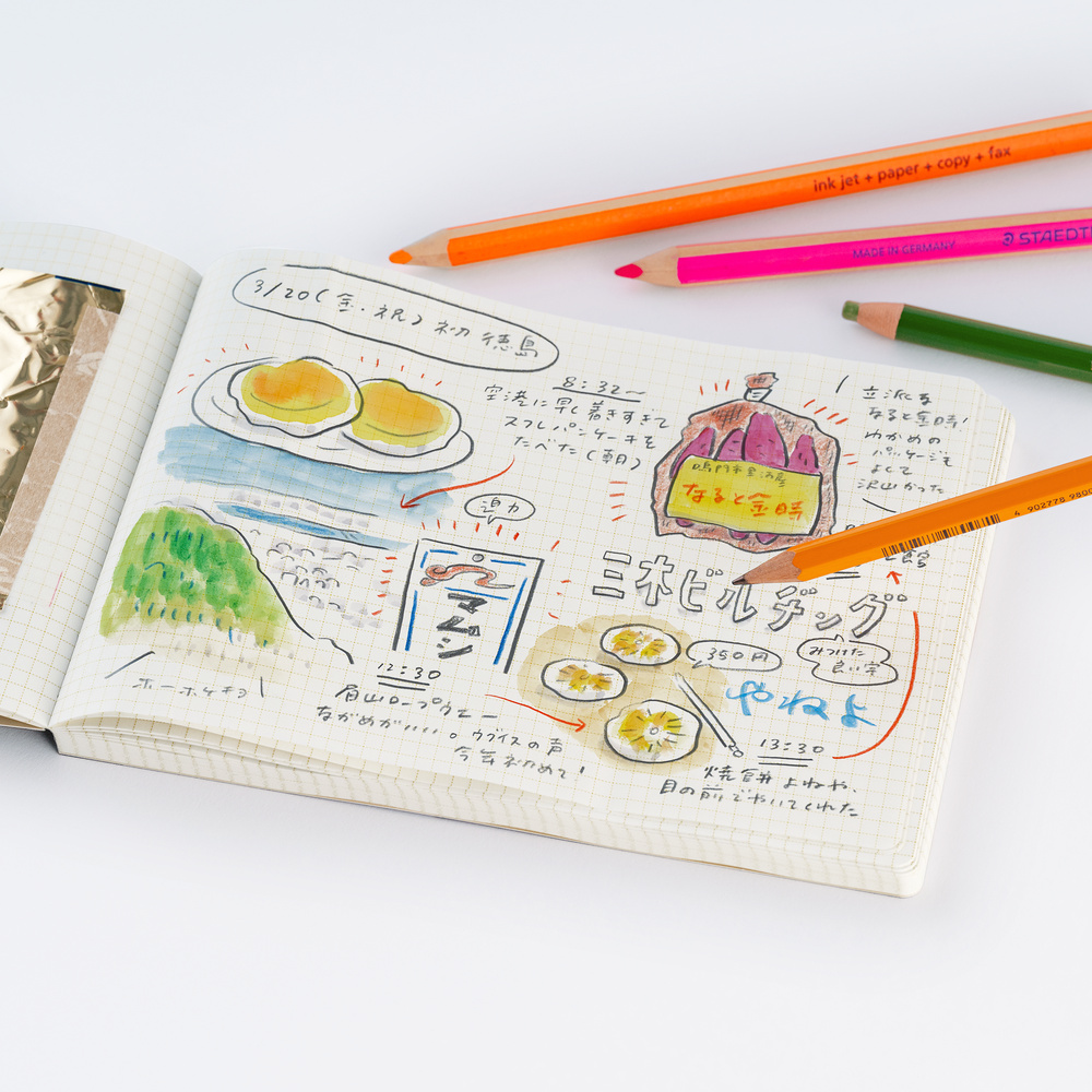 Notizbuch kariert B6 quer – Akiko Miyakoshi: I Dream of a Journey | Hobonichi