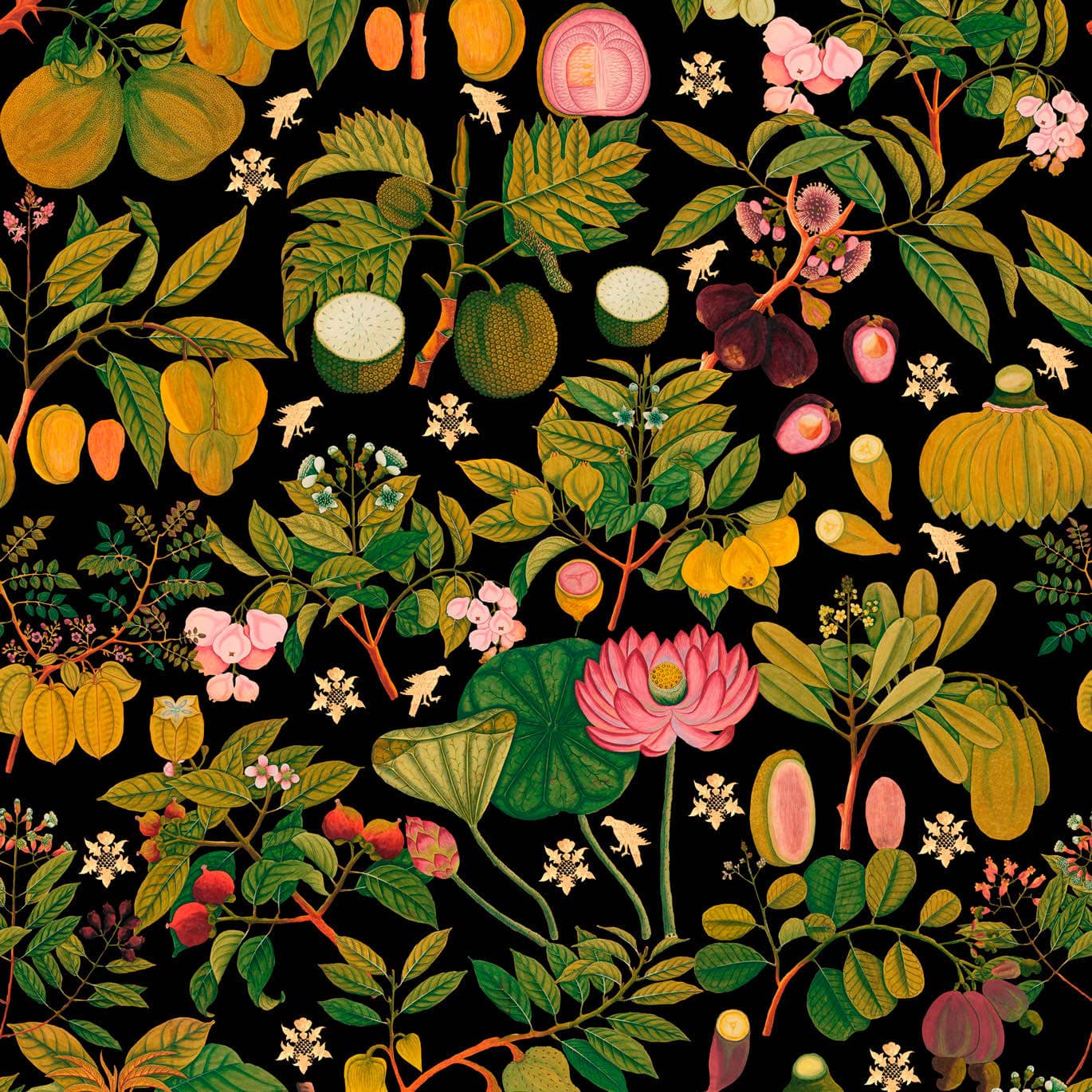 Tapete ASIAN FRUITS AND FLOWERS Anthracite-WP20314-MINDTHEGAP-MIND THE GAP Tapete ASIAN FRUITS AND FLOWERS Anthracite von MINDTHEGAP aus der Kategorie MIND THE GAP mit der Artikelnummer WP20314