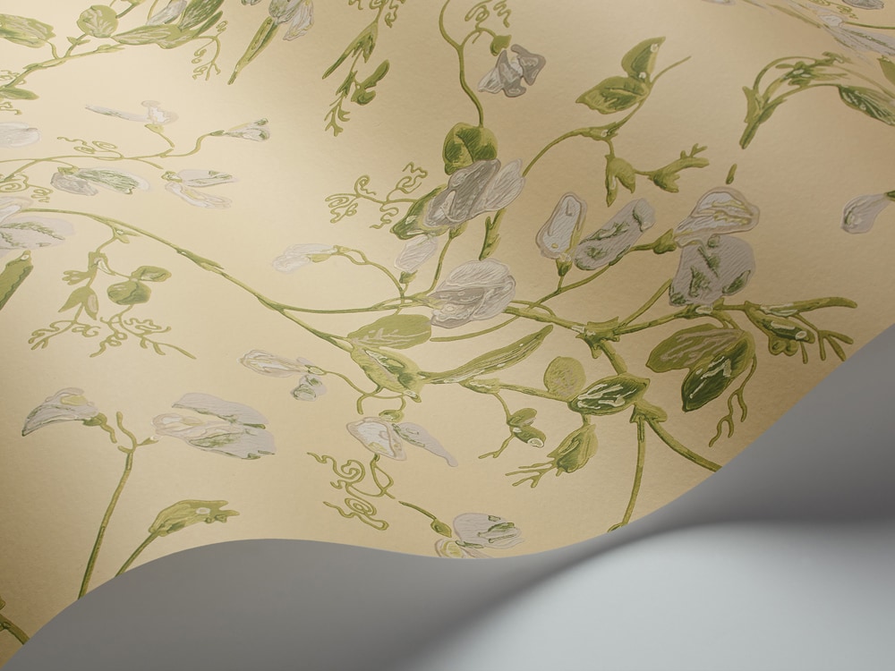 Sweet Pea Tapete - 100/6029 - Cole&Son - Archive Anthology von Cole&Son aus der Kategorie Archive Anthology mit der Artikelnummer 100-6029