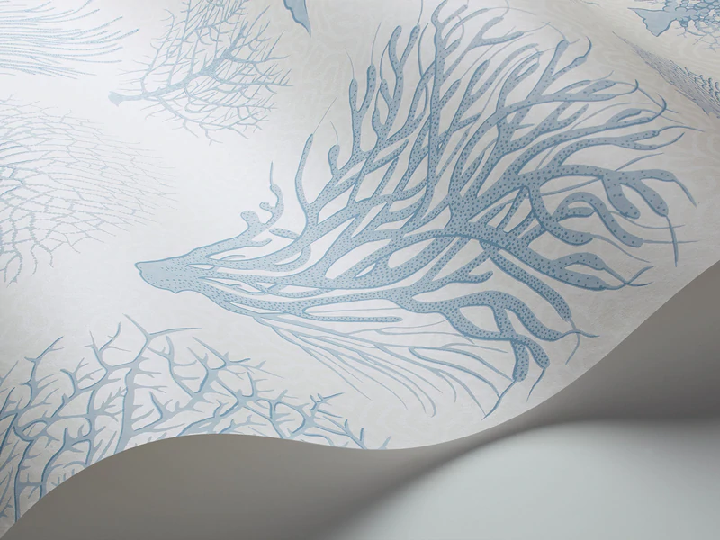 Seafern Tapete - 107/2009 - Cole&Son - Curio von Cole&Son aus der Kategorie Curio mit der Artikelnummer 107-2009